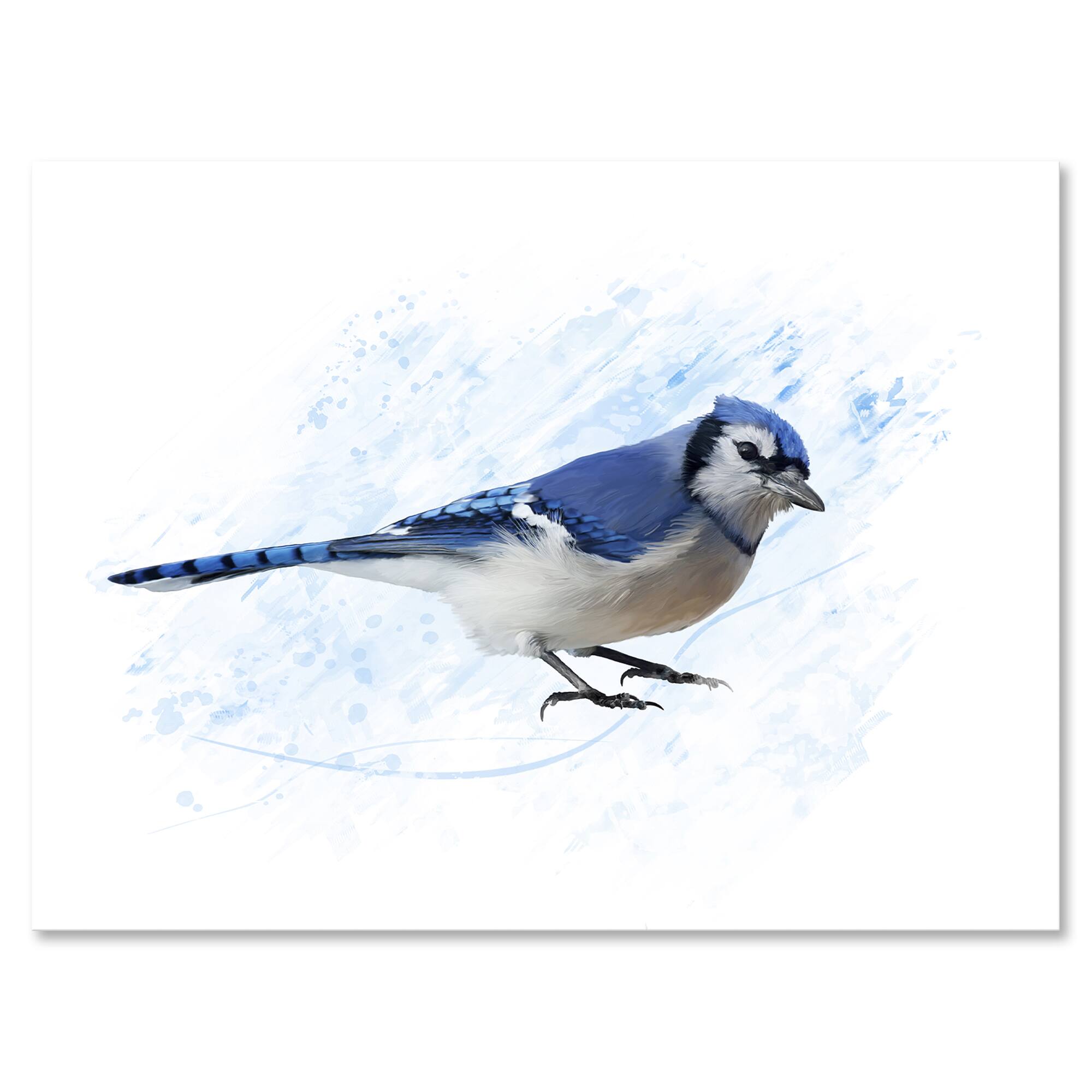 Designart - Vintage Blue Jay Bird - Traditional Canvas Wall Art Print