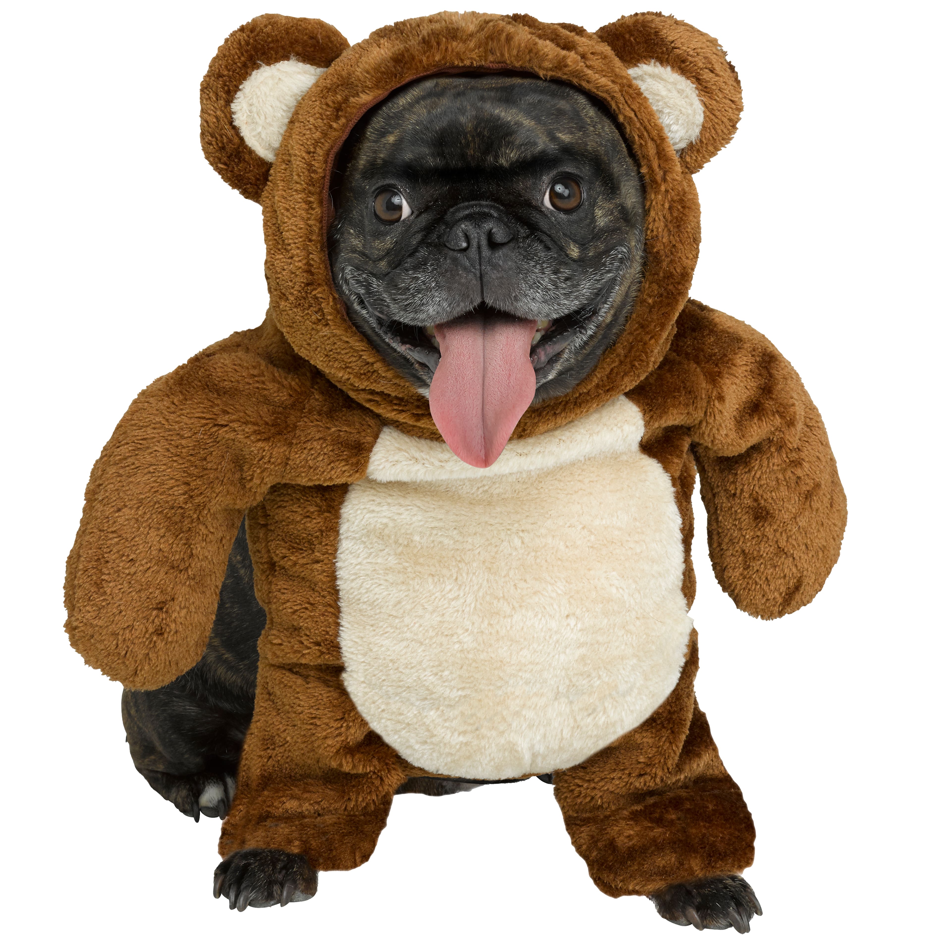 Teddy Bear Dog Costume by Ashland&#xAE;