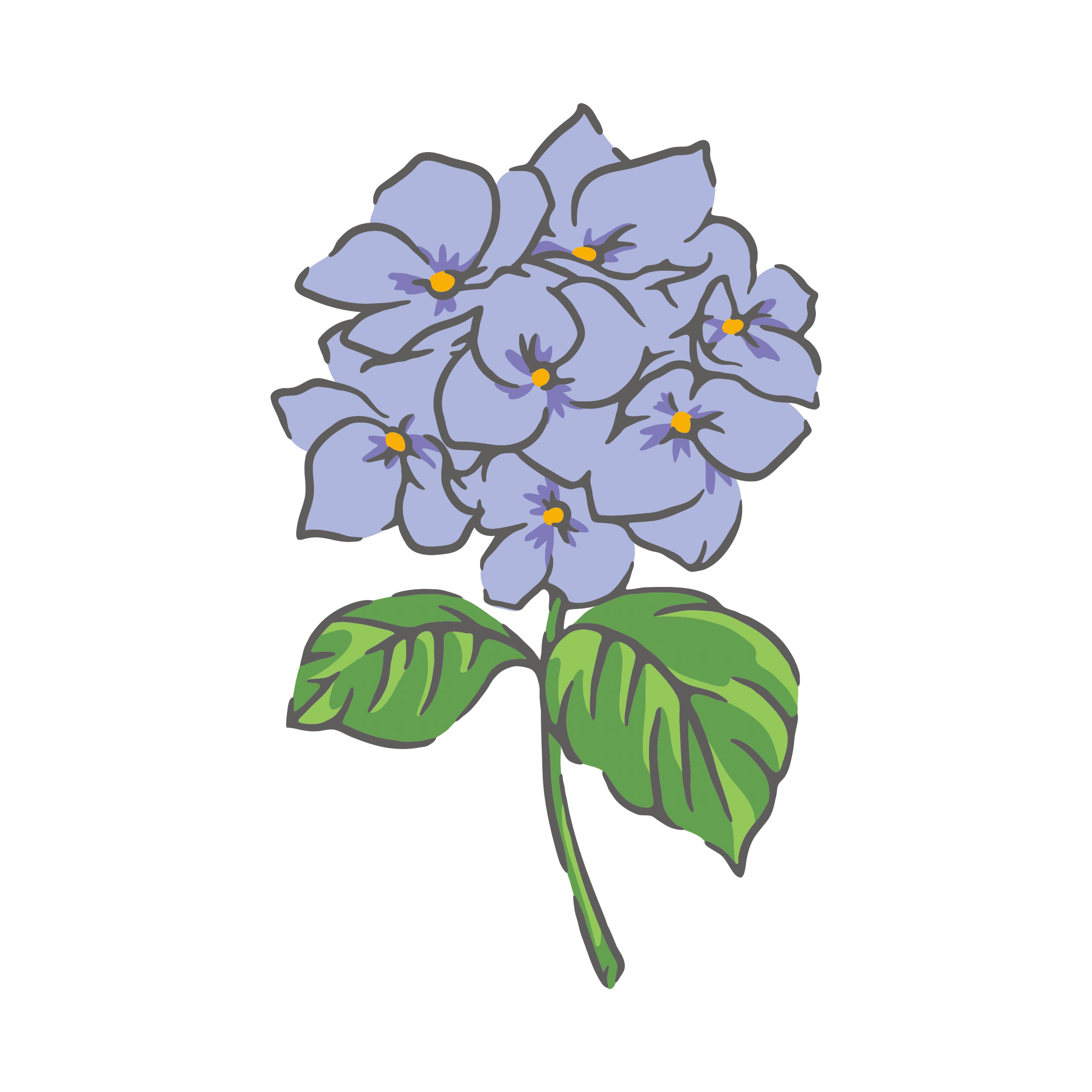 Hydrangea Layering Stencils by Recollections™