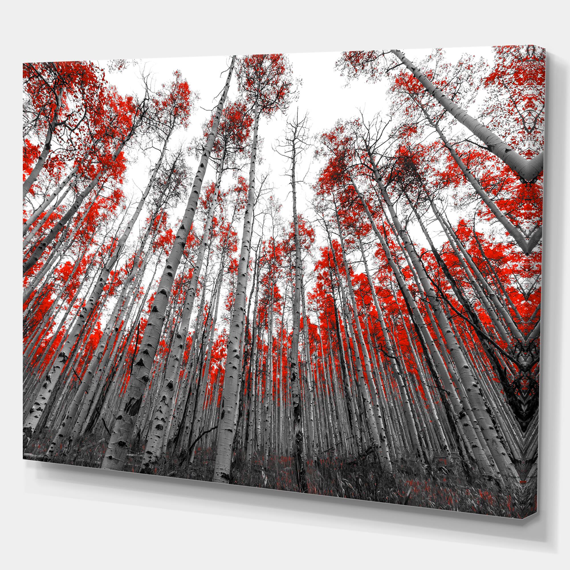 Designart - Red Leaf Trees in Tall Forest - Floral Landscapes Photographic on wrapped Canvas