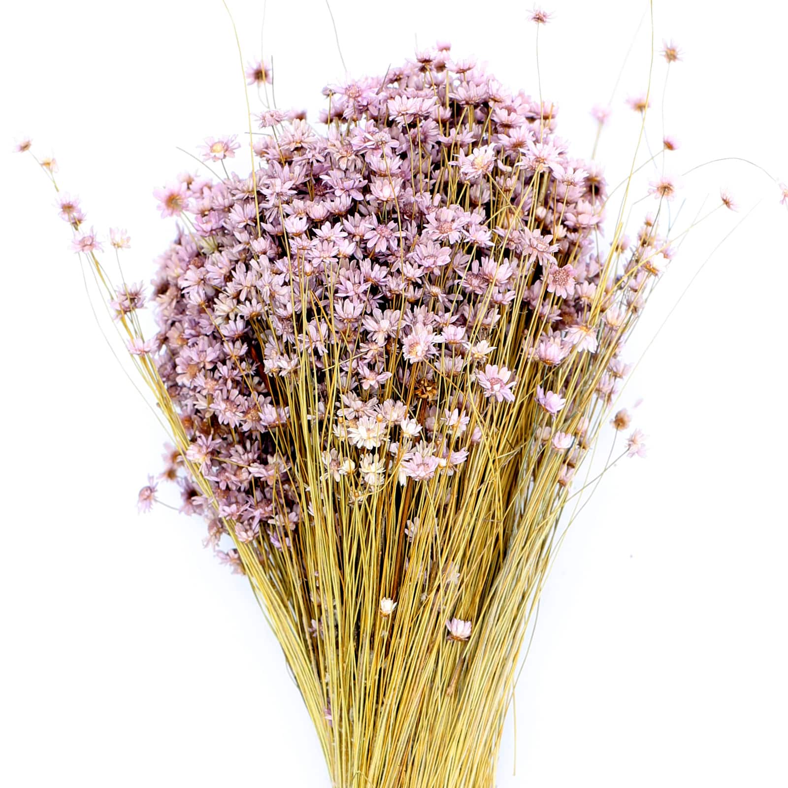 Lavender Campo Flowers Decorative Naturals by Ashland&#xAE;