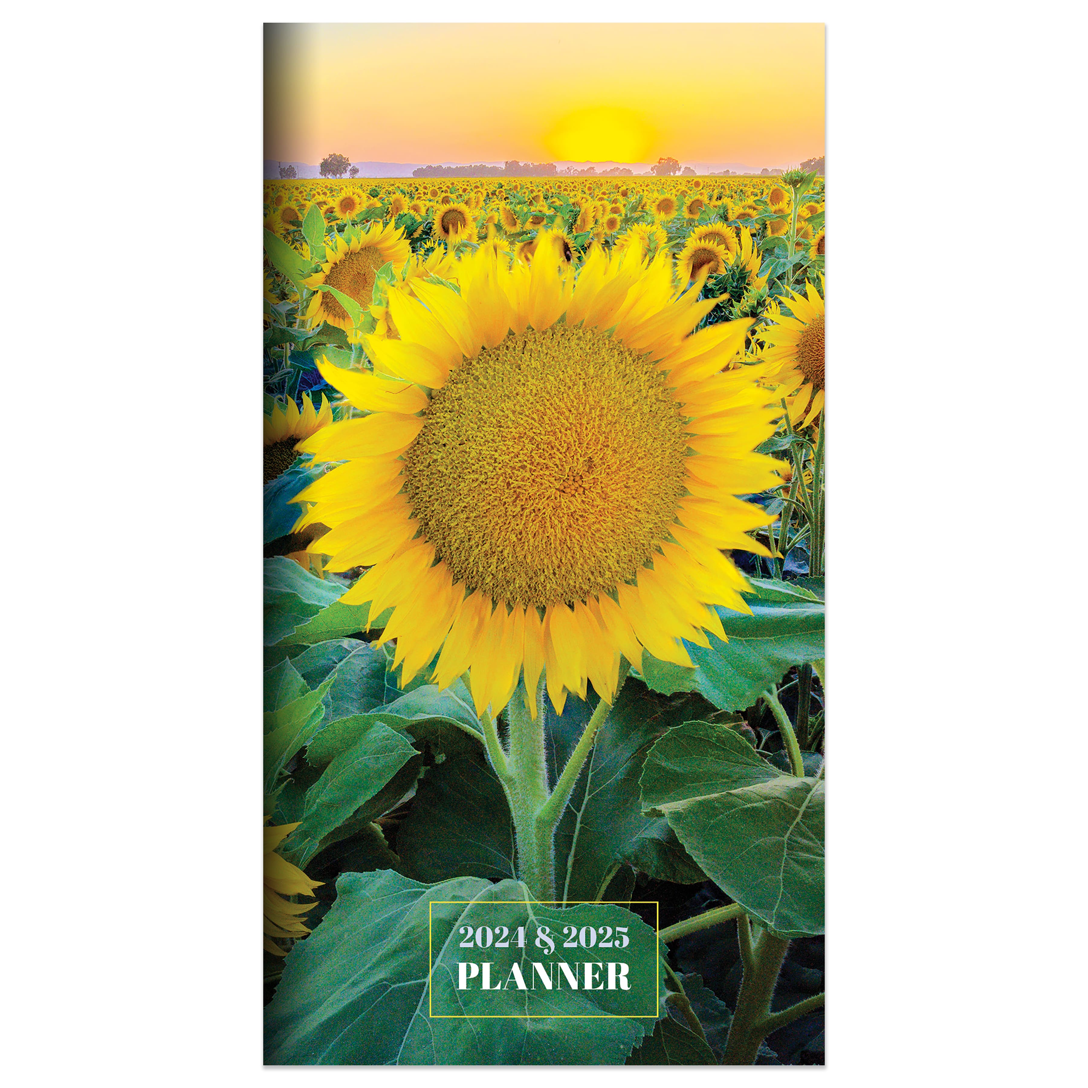 20242025 Sunflower Monthly Pocket Planner Michaels