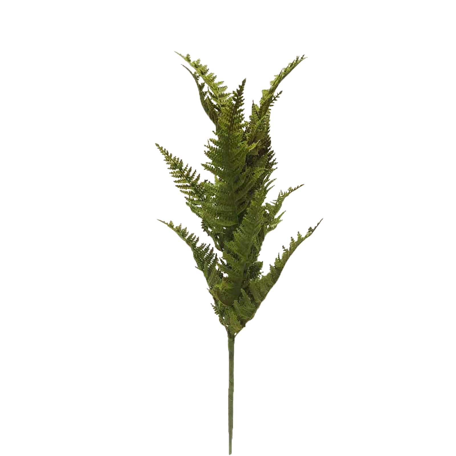 28&#x22; Dark Green Halloween Fern by Ashland&#xAE;