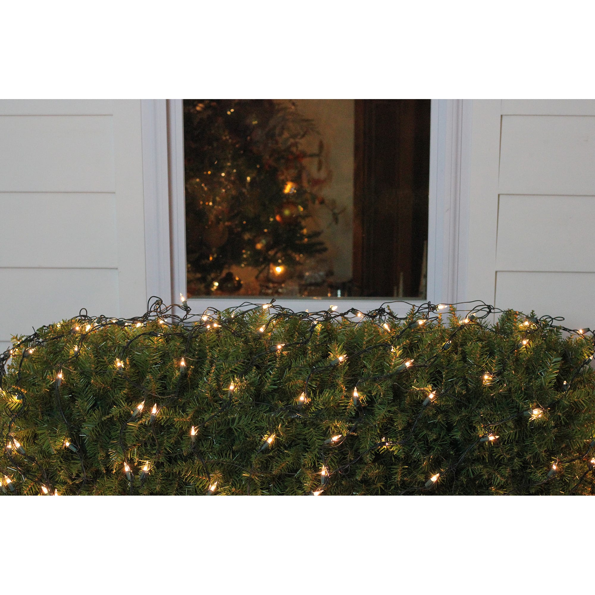 4ft. x 6ft. Clear Mini Incandescent Christmas Net Lights With Green Wire