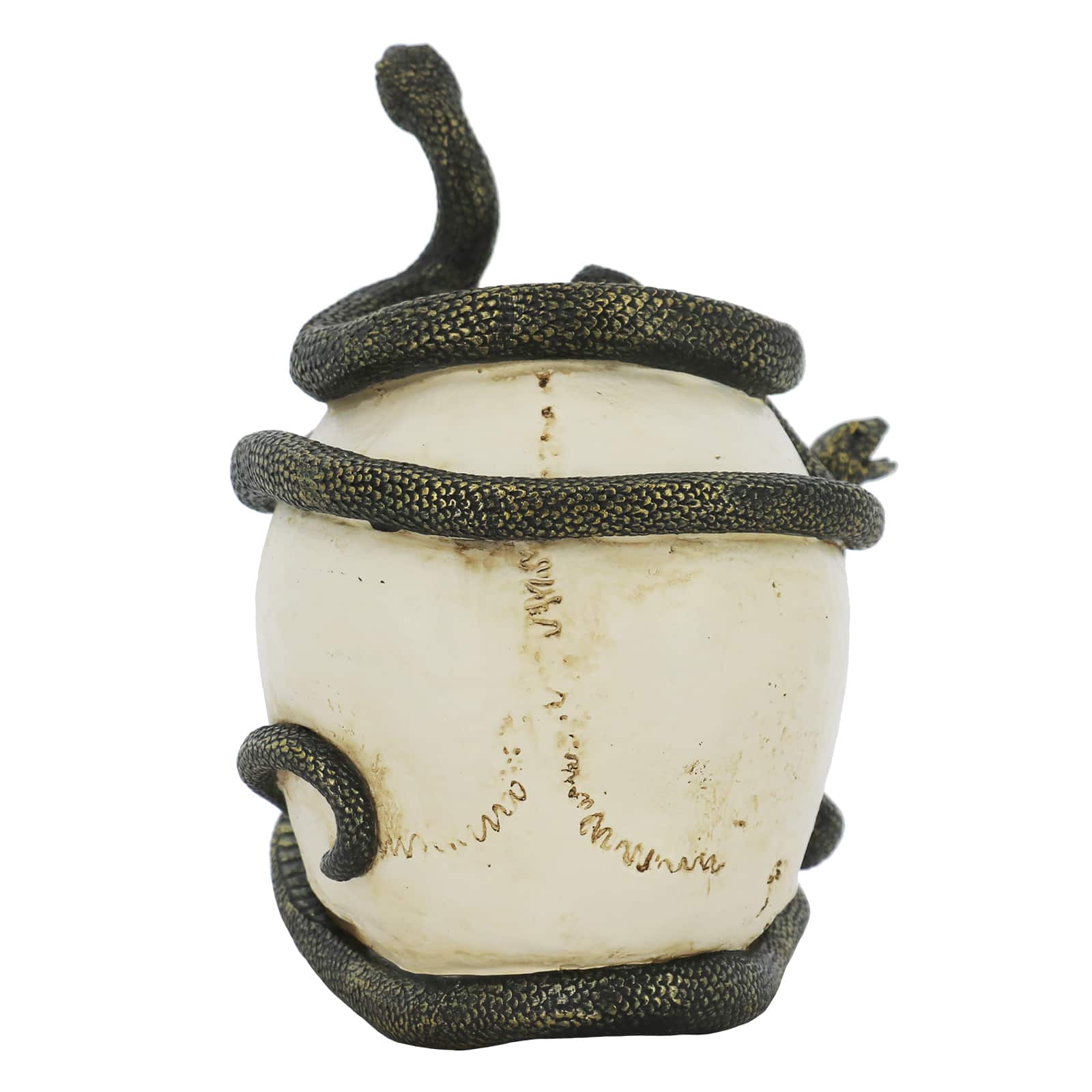 7.25&#x22; Snake-Entwined Skull Tabletop D&#xE9;cor by Ashland&#xAE;