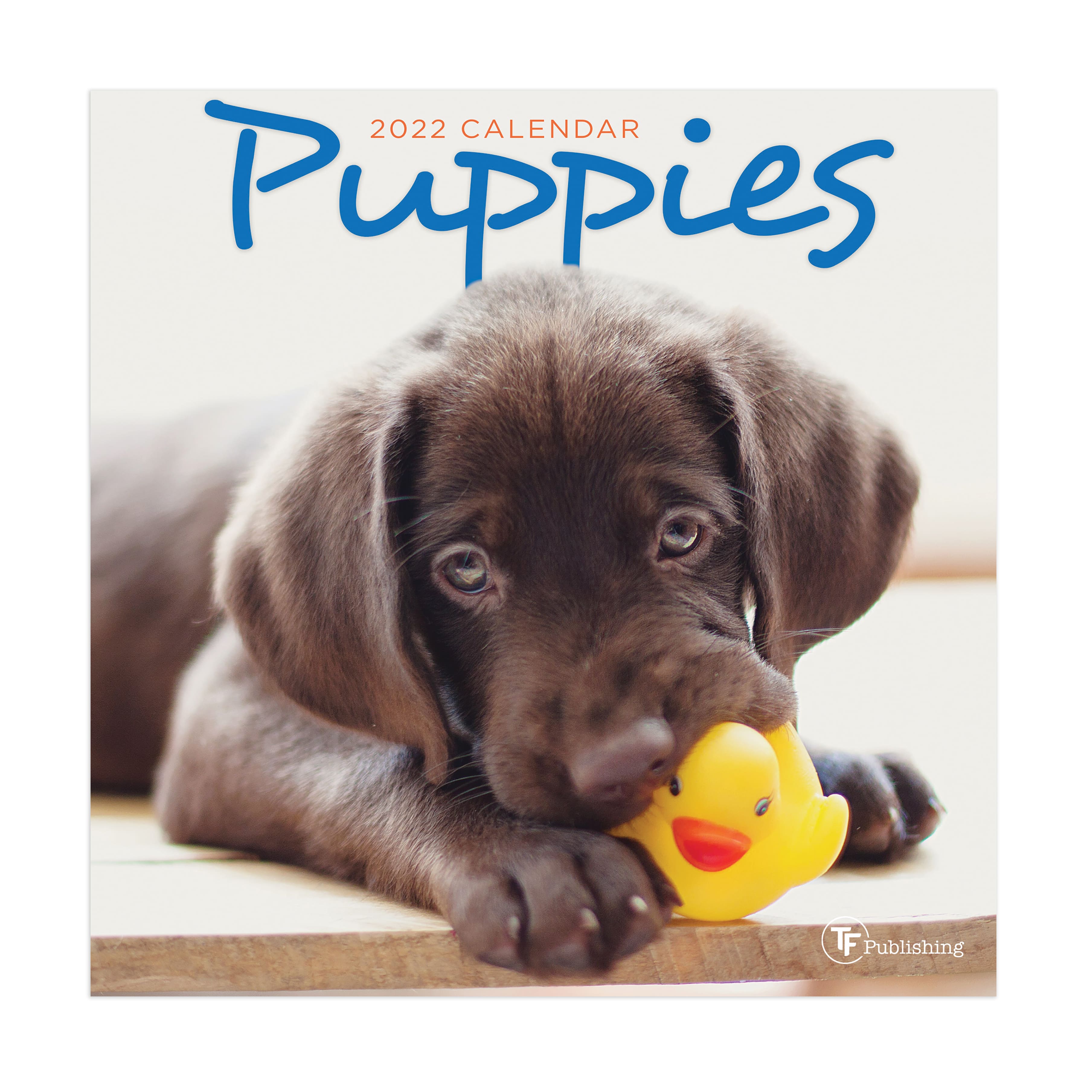 2022 puppies mini calendar michaels