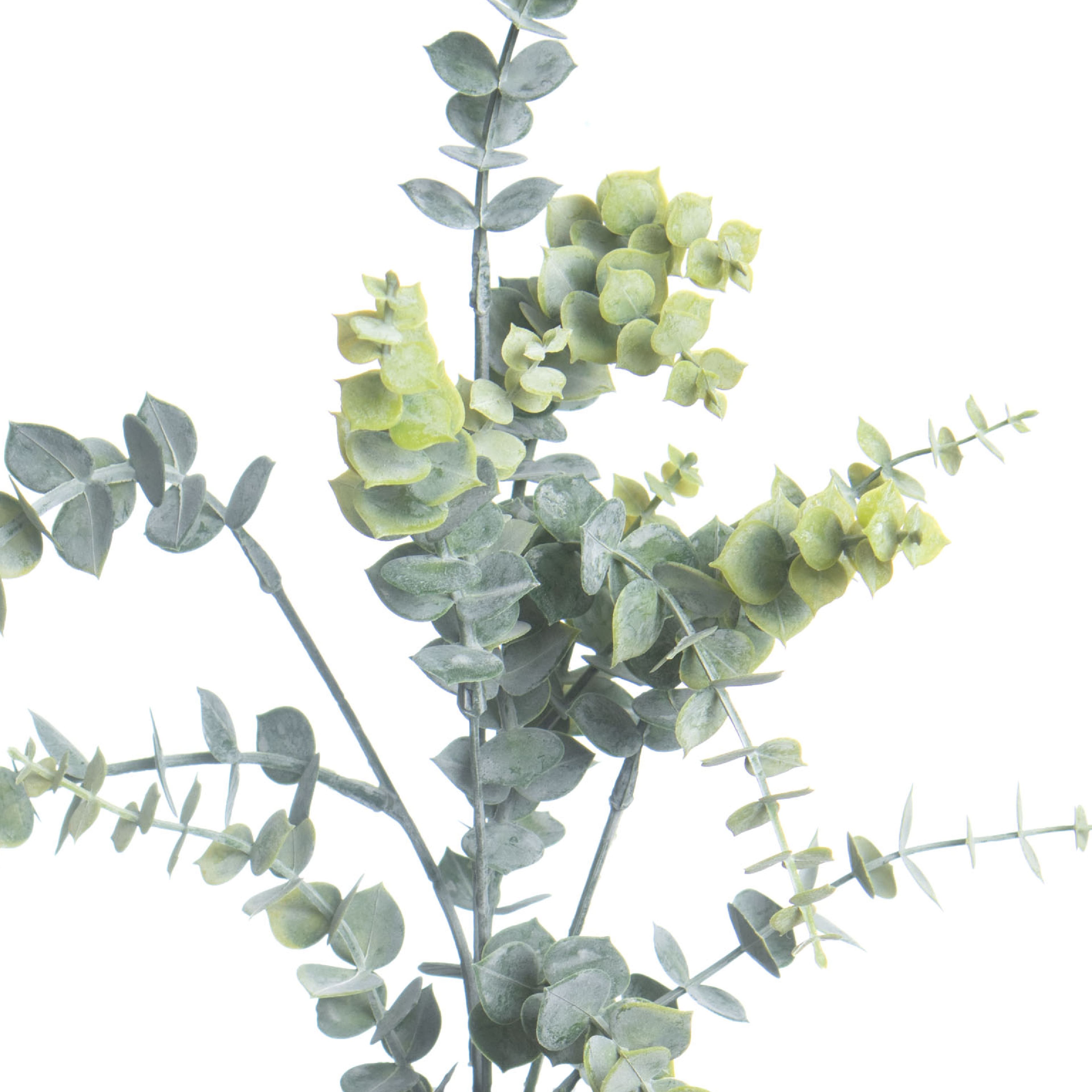 27&#x22; Fresh Green Mini Eucalyptus Stem by Ashland&#xAE;