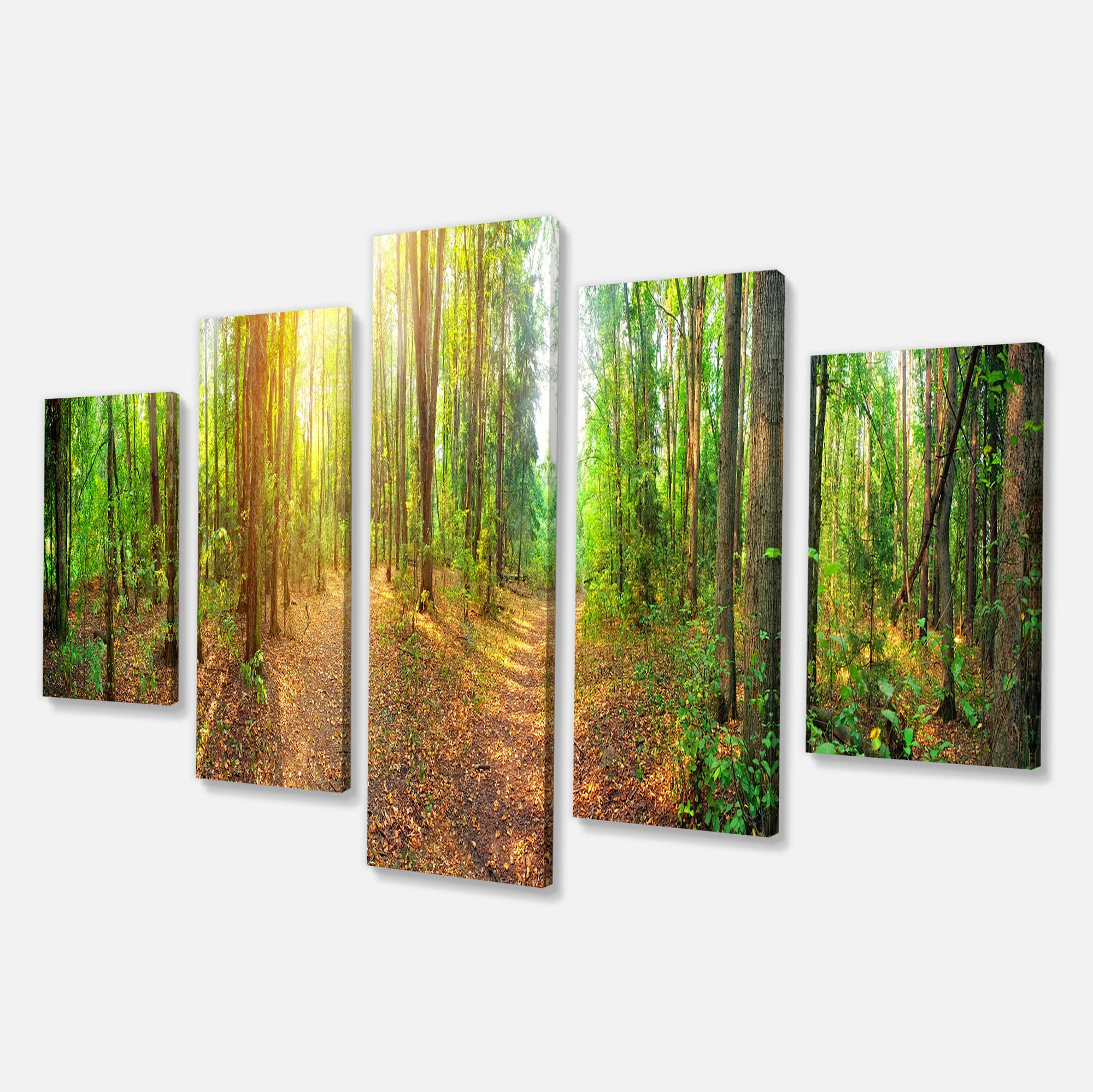 Designart - Dense Forest Panorama - Landscape Canvas Art Print