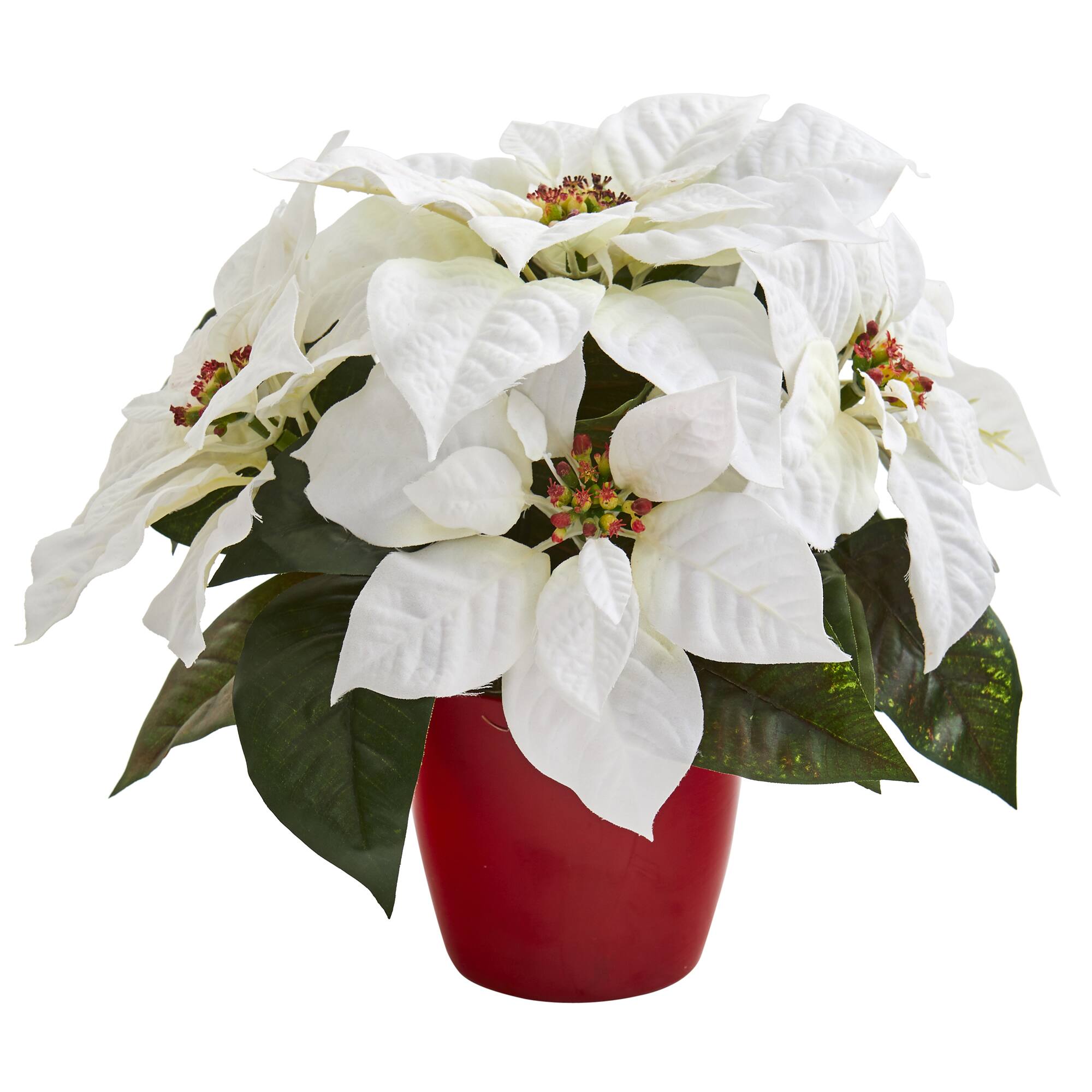 12" Potted White Poinsettia Set Michaels