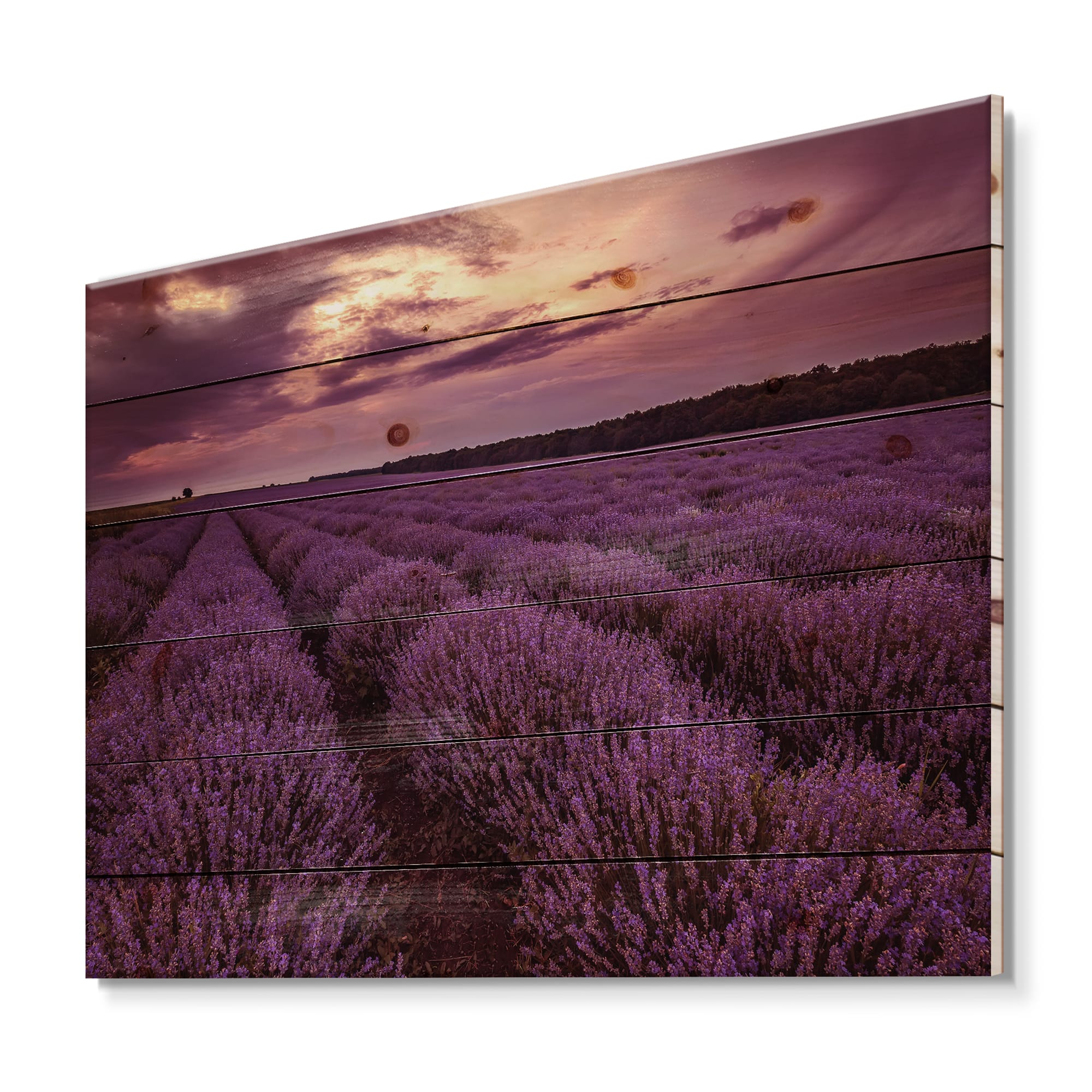 Designart - Sunrise & Dramatic Clouds Over Lavender Field III - Farmhouse Print on Natural Pine Wood