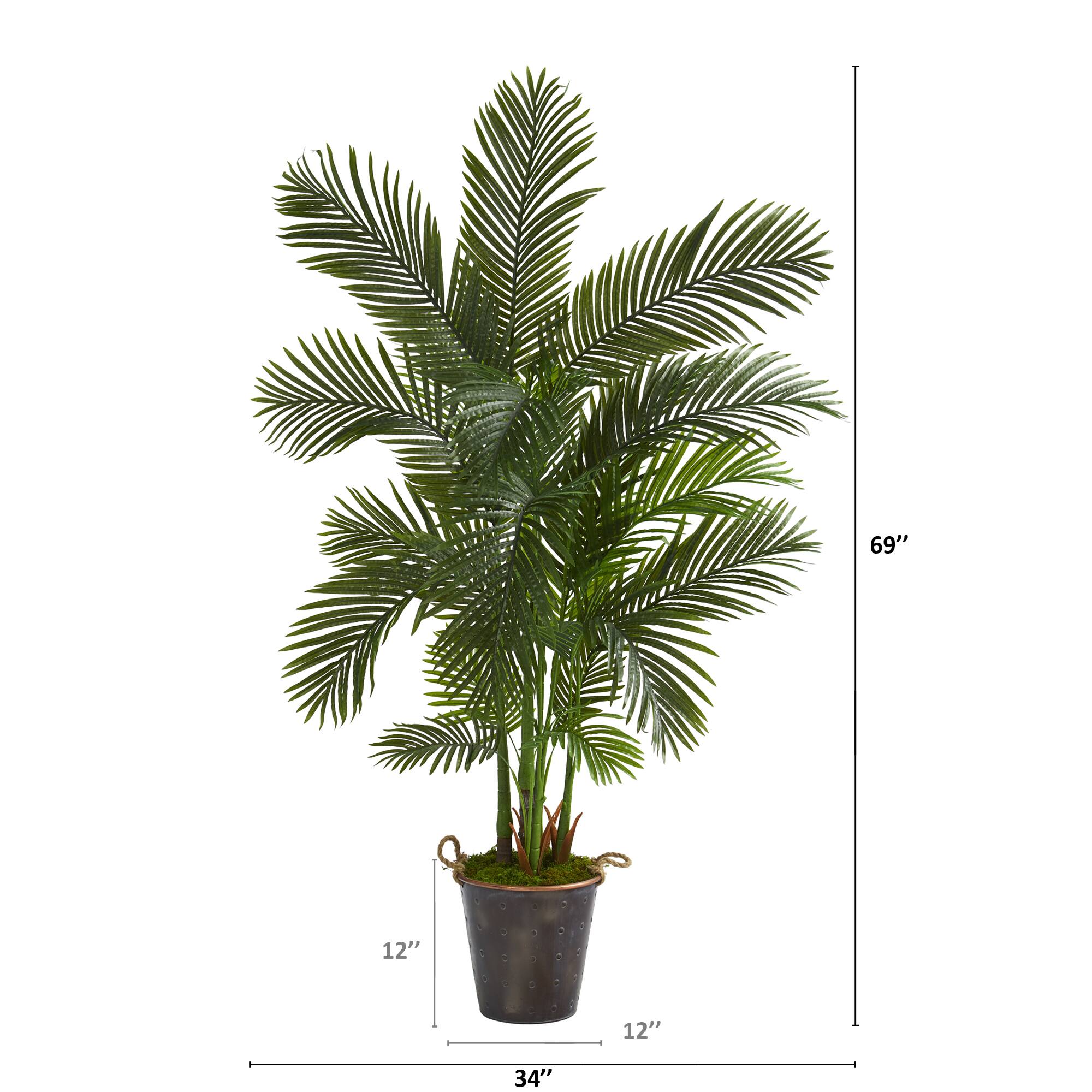 5.75ft. Areca Palm Tree in Decorative Metal Pail with Rope
