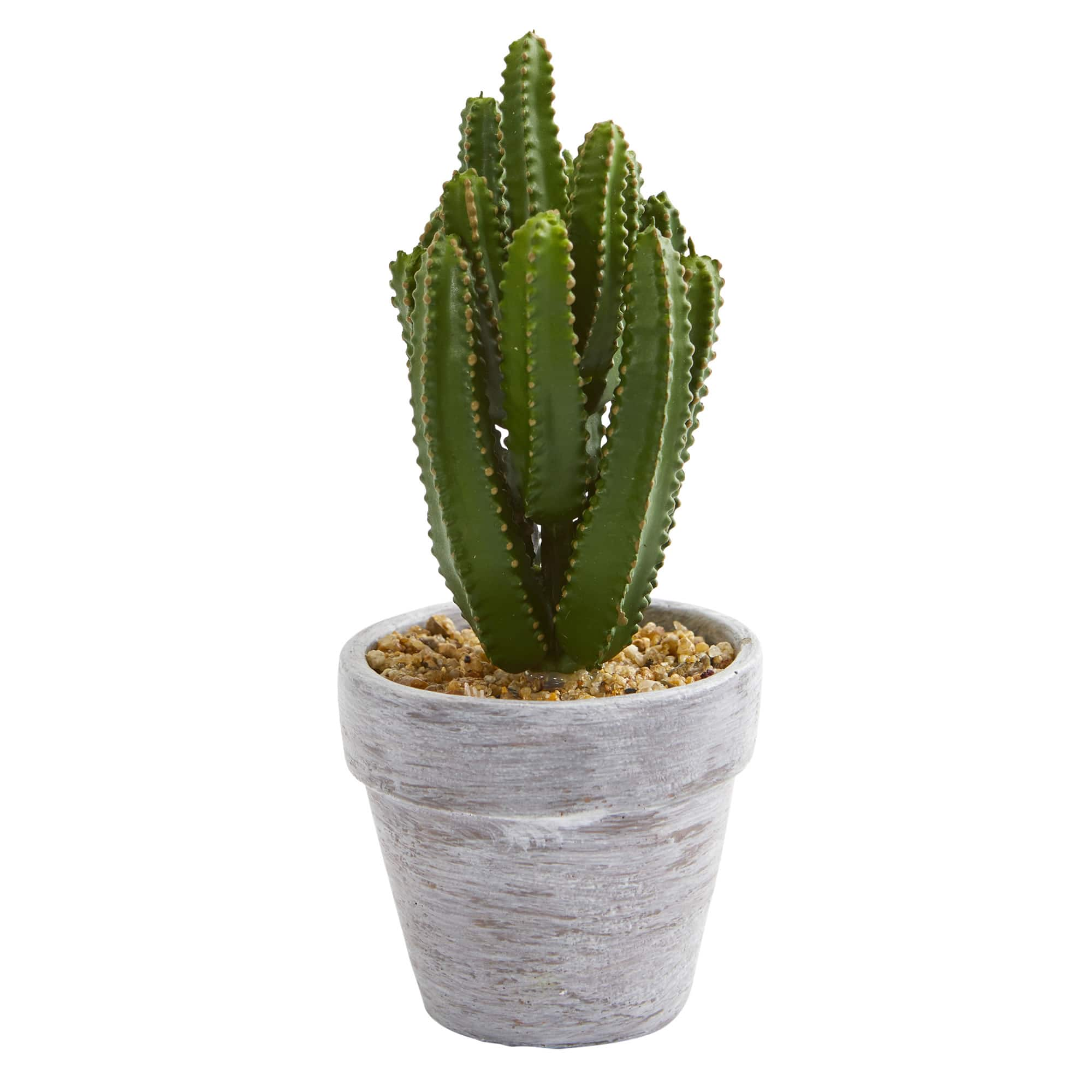 8&#x22; Assorted Potted Cactus Plant, 3ct.