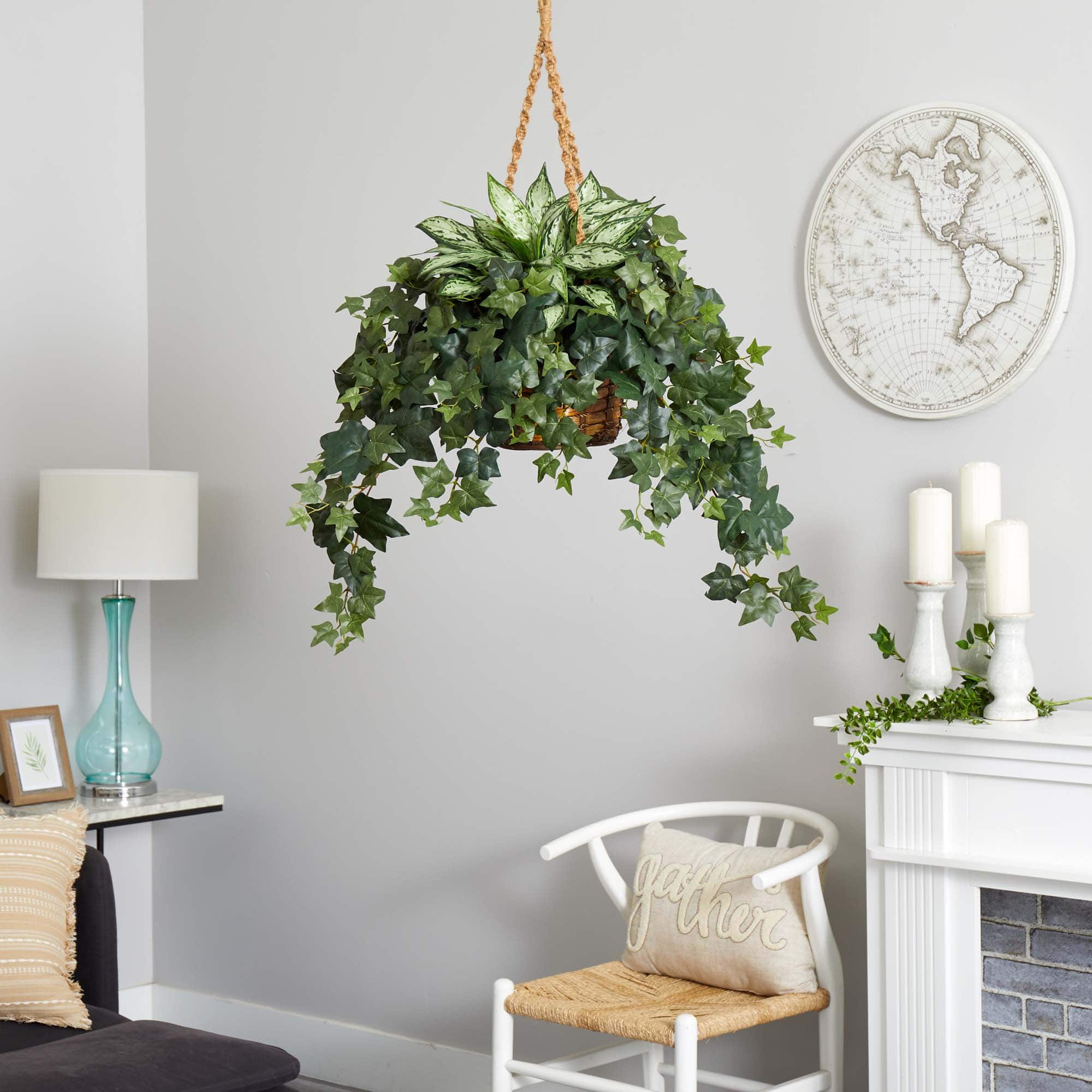 2.5ft. Silver Queen and Ivy Plant in Hanging Basket