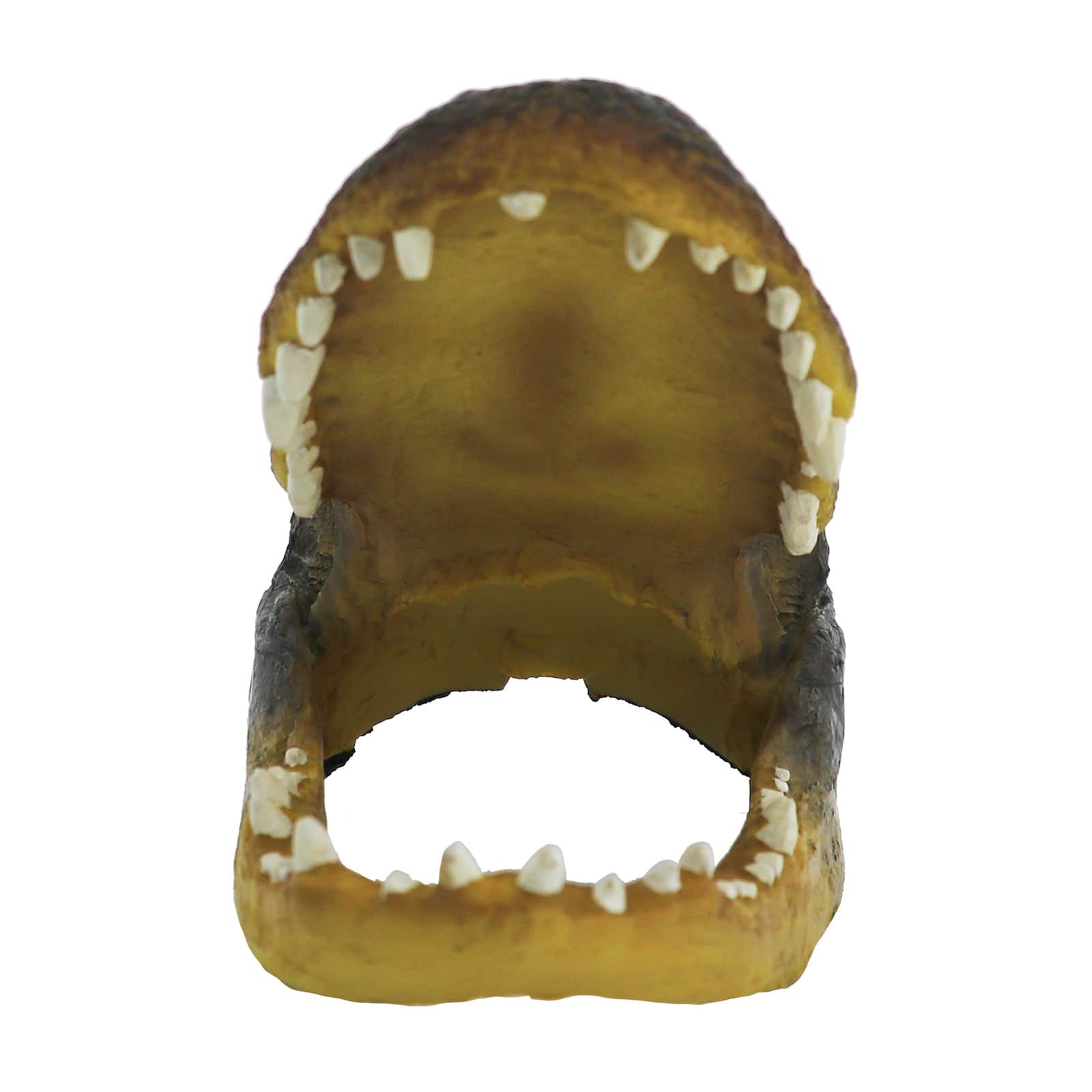 10.5" Alligator Head Tabletop Accent by Ashland®