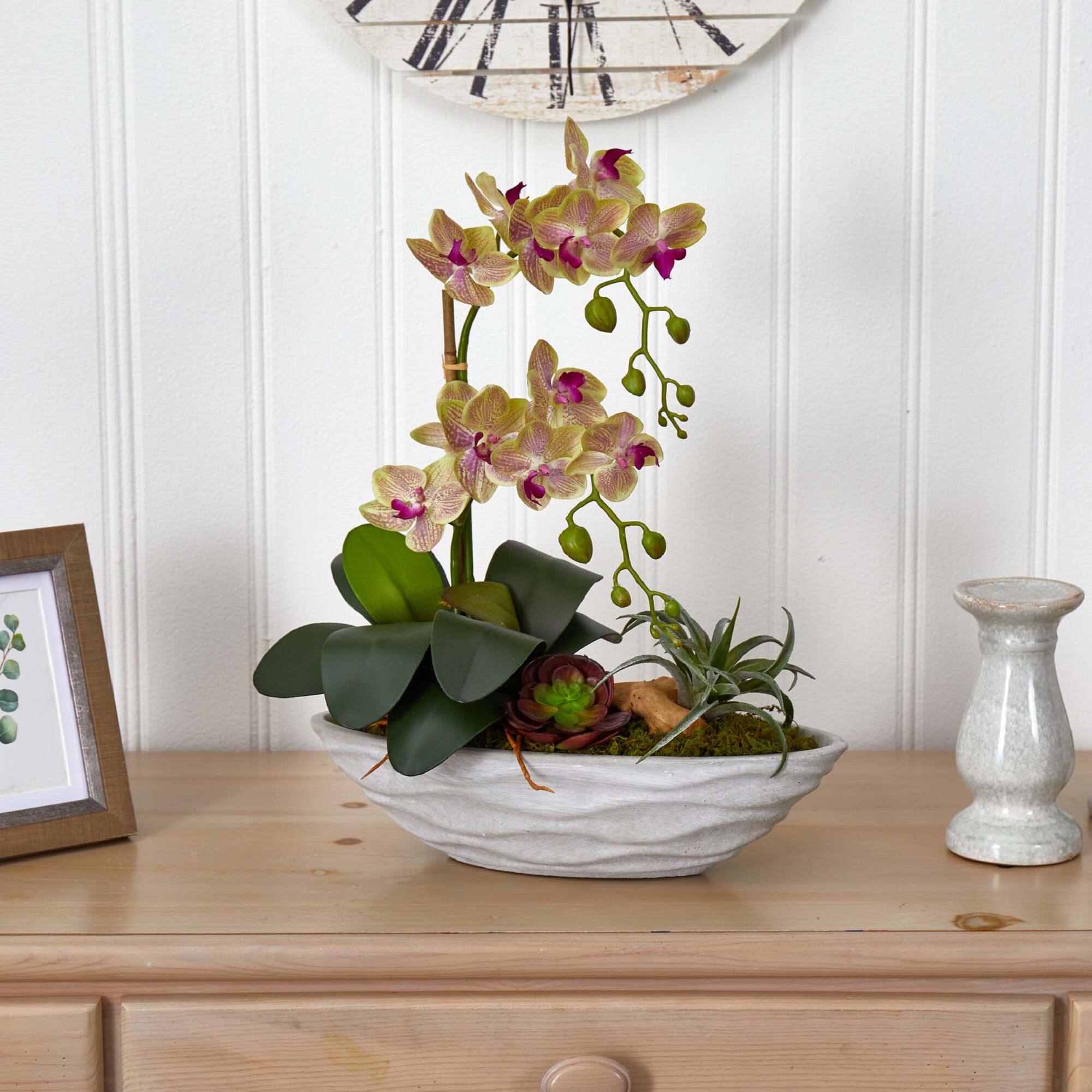 Phalaenopsis Orchid and Succulent Artificial Arrangement in White Vase