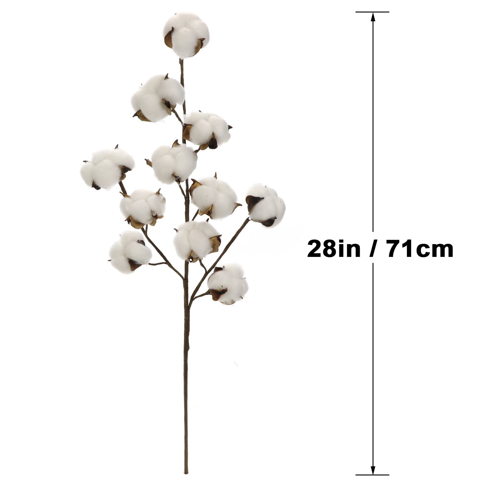 Cotton Stem by Ashland&#xAE;