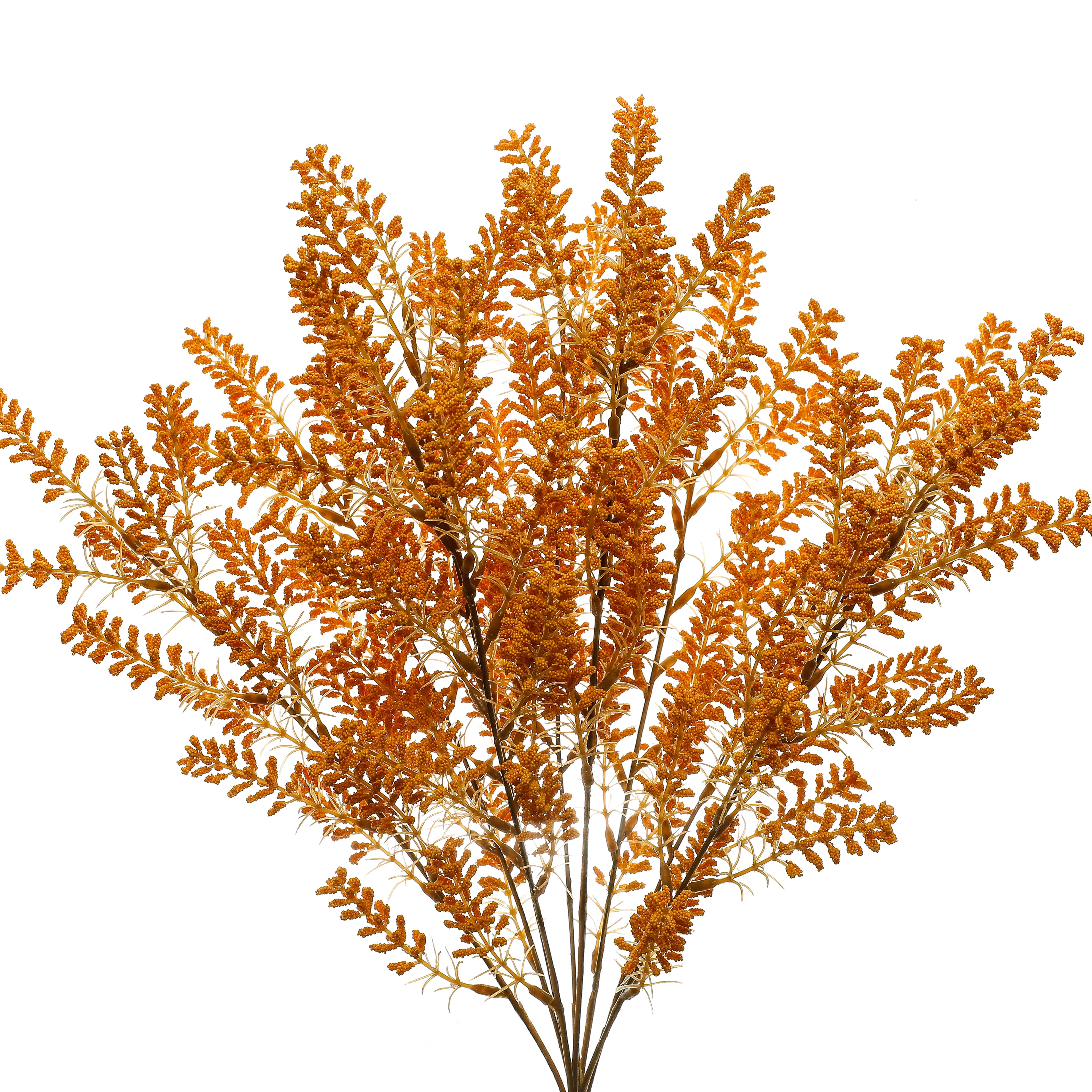 19&#x22; Berry Bush by Ashland&#xAE;