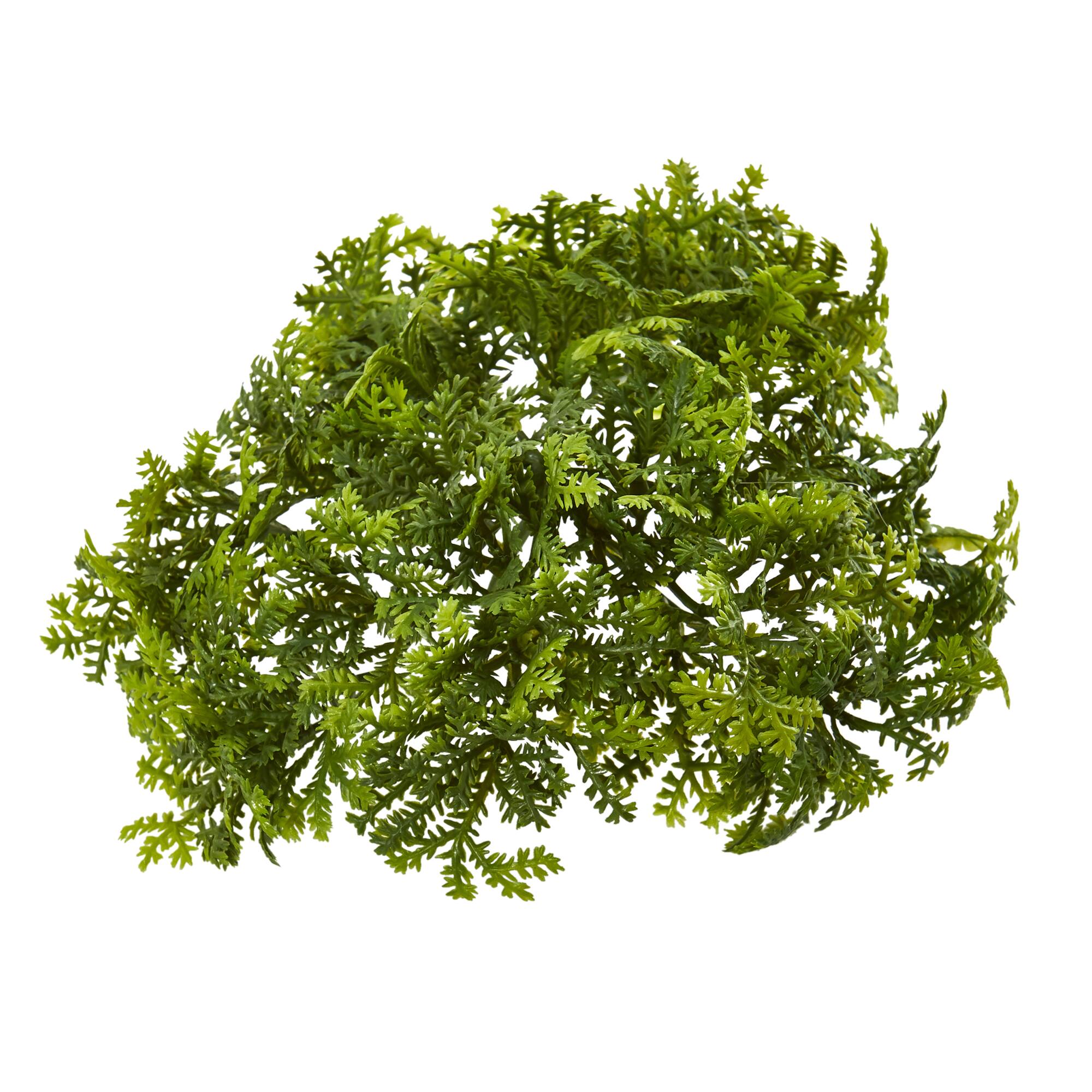 Green Moss Bush, 12ct.
