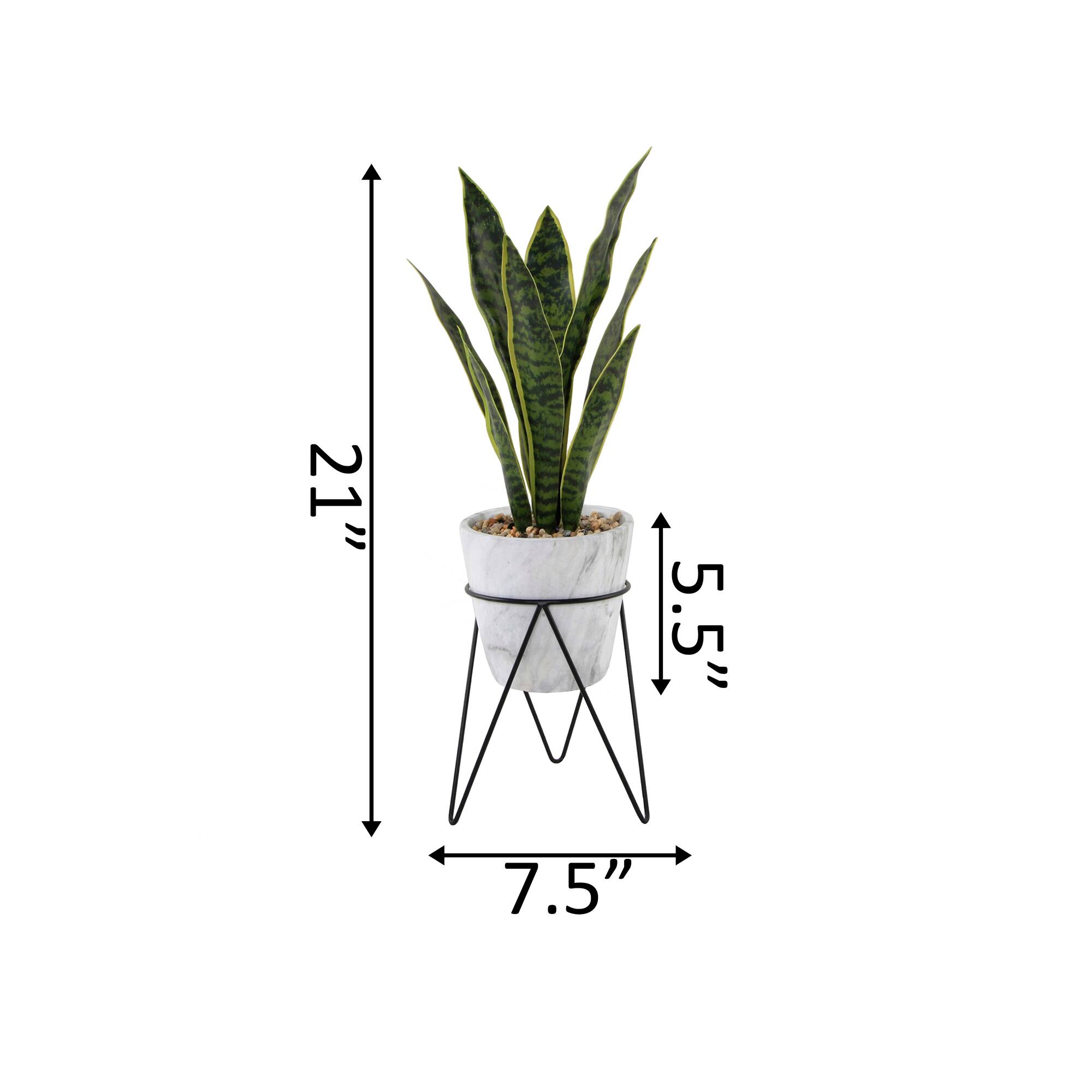 Flora Bunda® 1.75ft. Snake Plant In Marble On Metal Stand