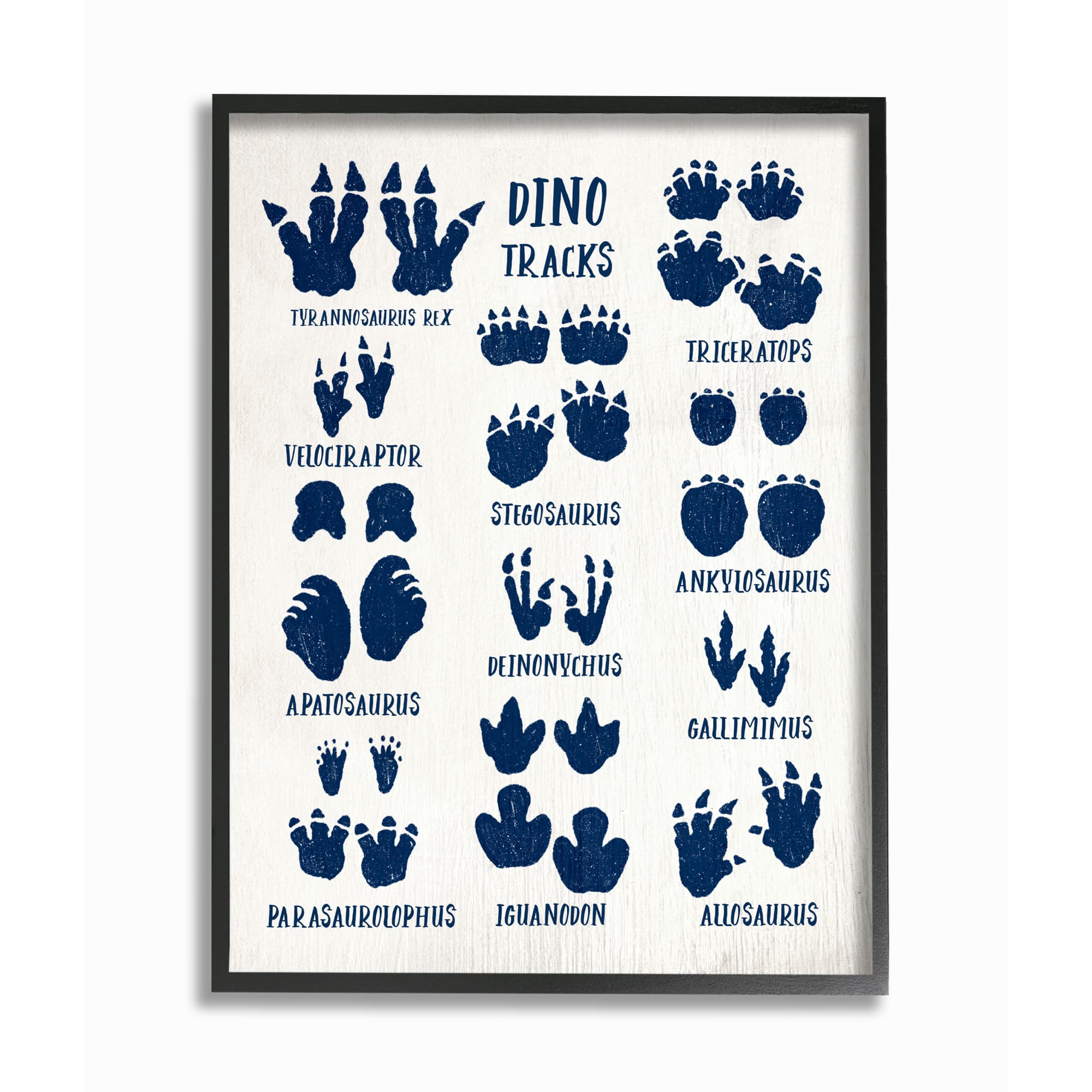 Stupell Industries Chart of Dinosaur Tracks Wall Accent with Black Frame