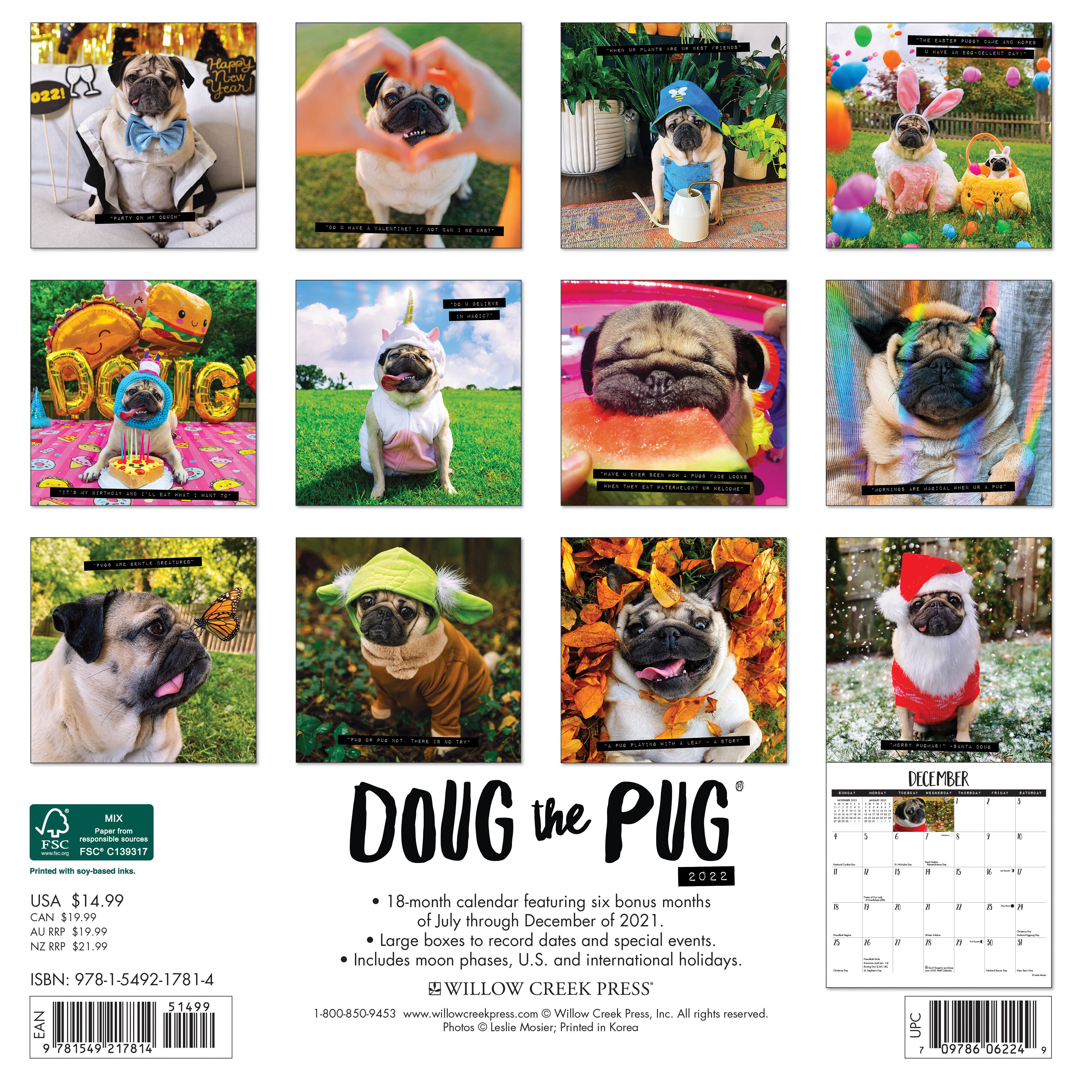 2022 Doug The Pug Wall Calendar | Michaels