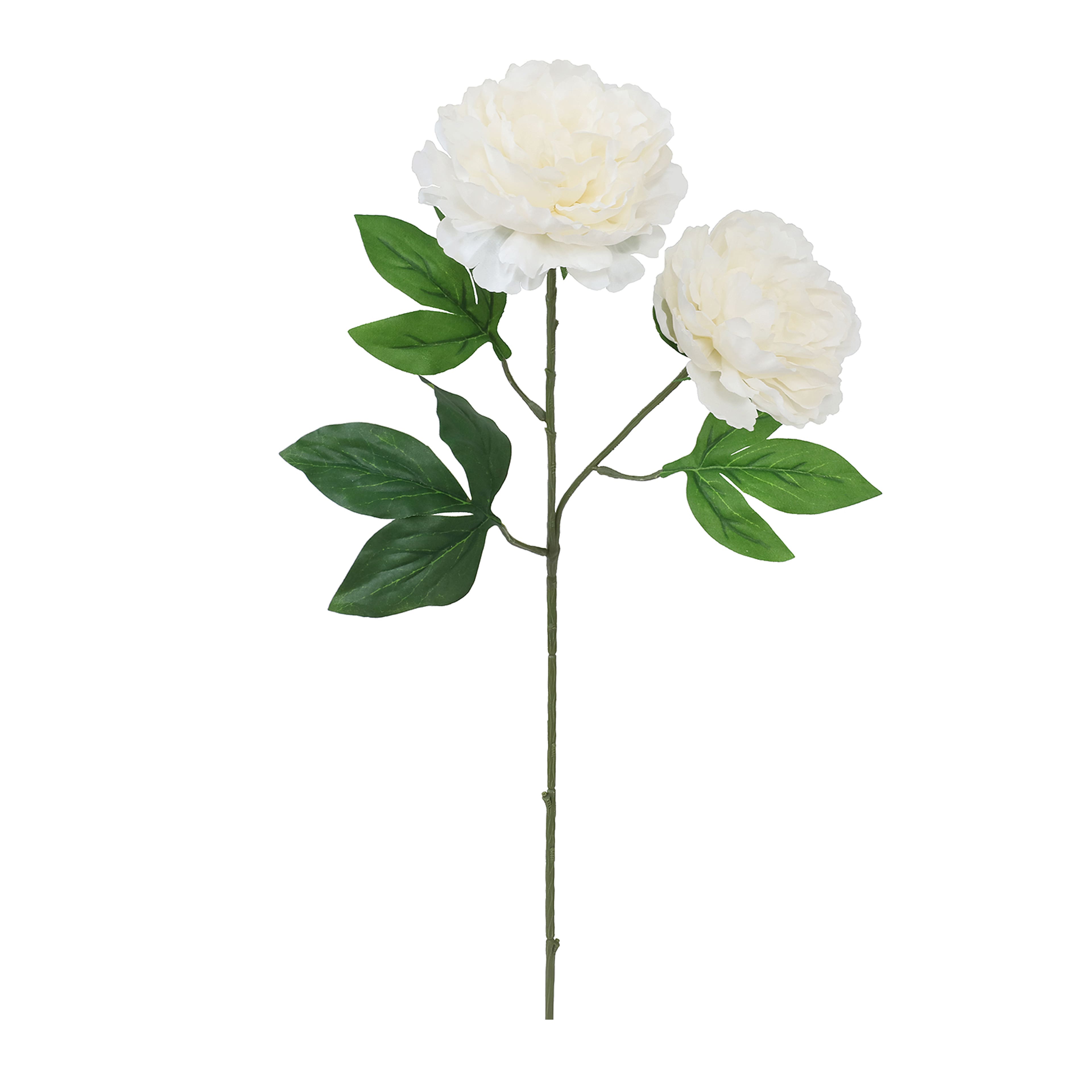 28&#x22; Peony Stem by Ashland&#xAE;