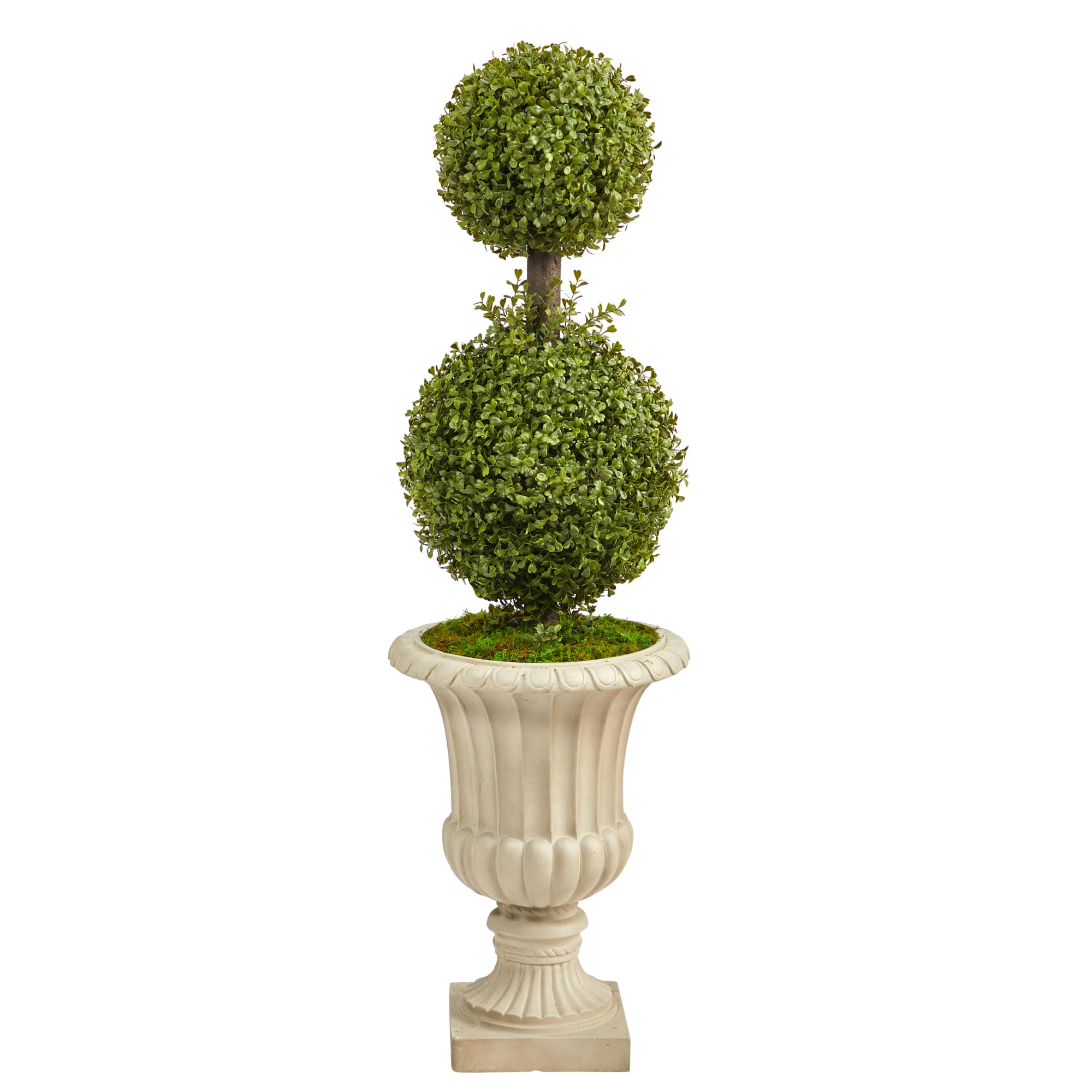 4ft. Double Boxwood Topiary Tree in Sand Finished Urn