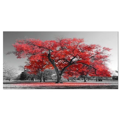 Designart 'Big Red Tree on Foggy Day' Landscape Printed Throw