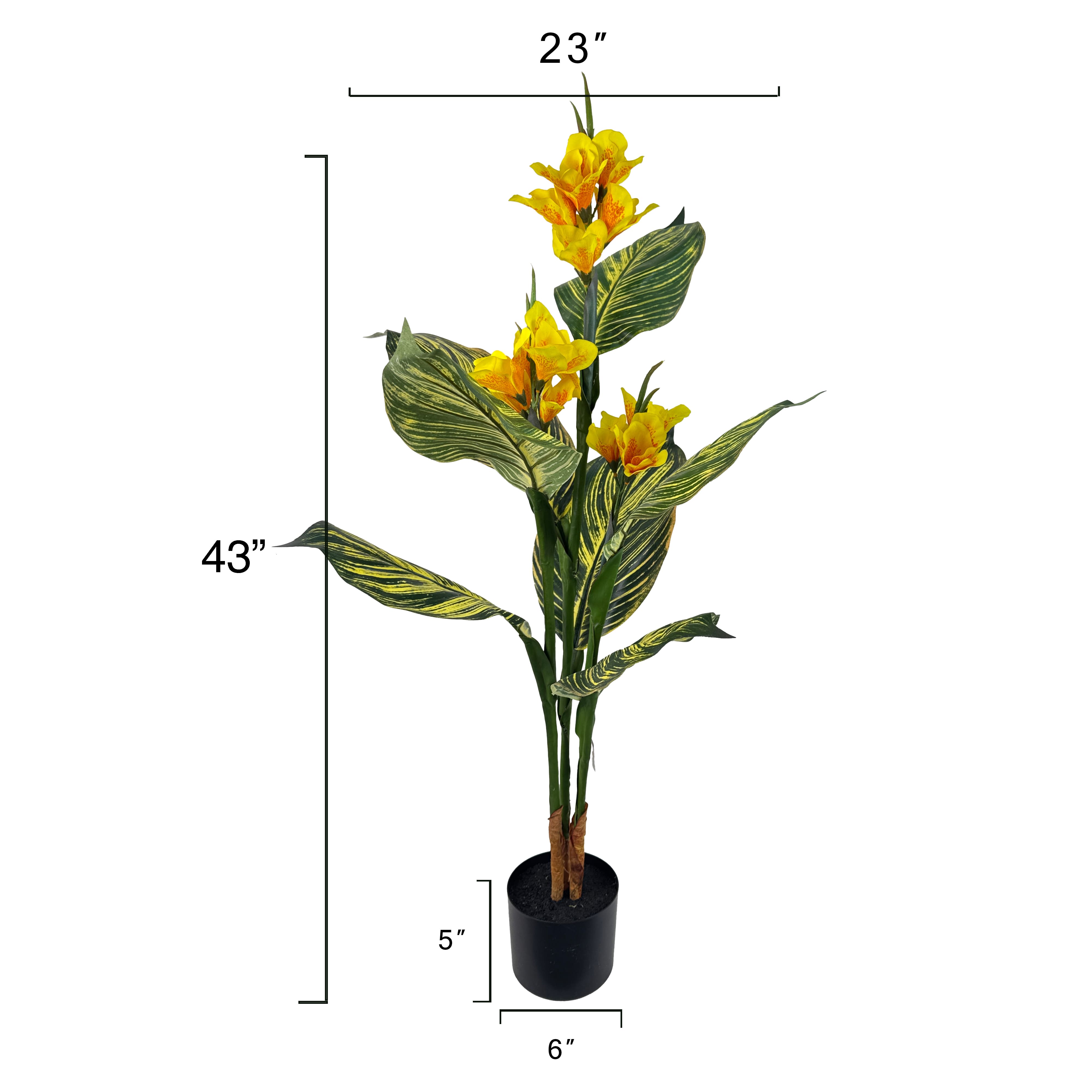 3.5ft. Potted Yellow Canna Lily Plant by Ashland&#xAE;
