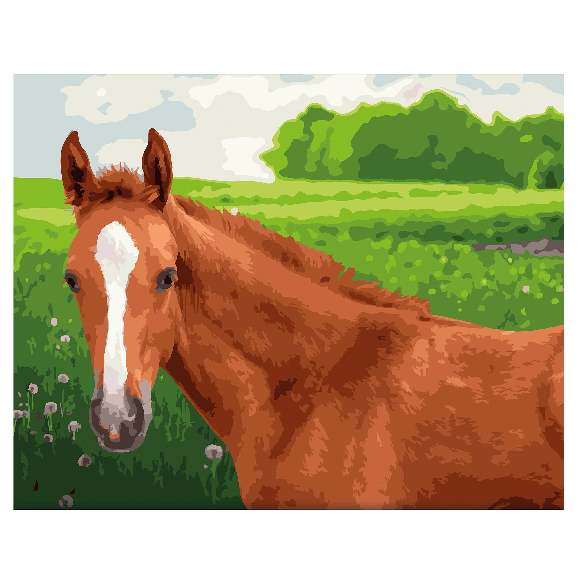 Young Horse PaintbyNumber Kit by Artist's Loft™ Necessities™ Michaels