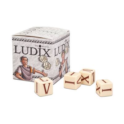 Ludix Dice Game | Michaels