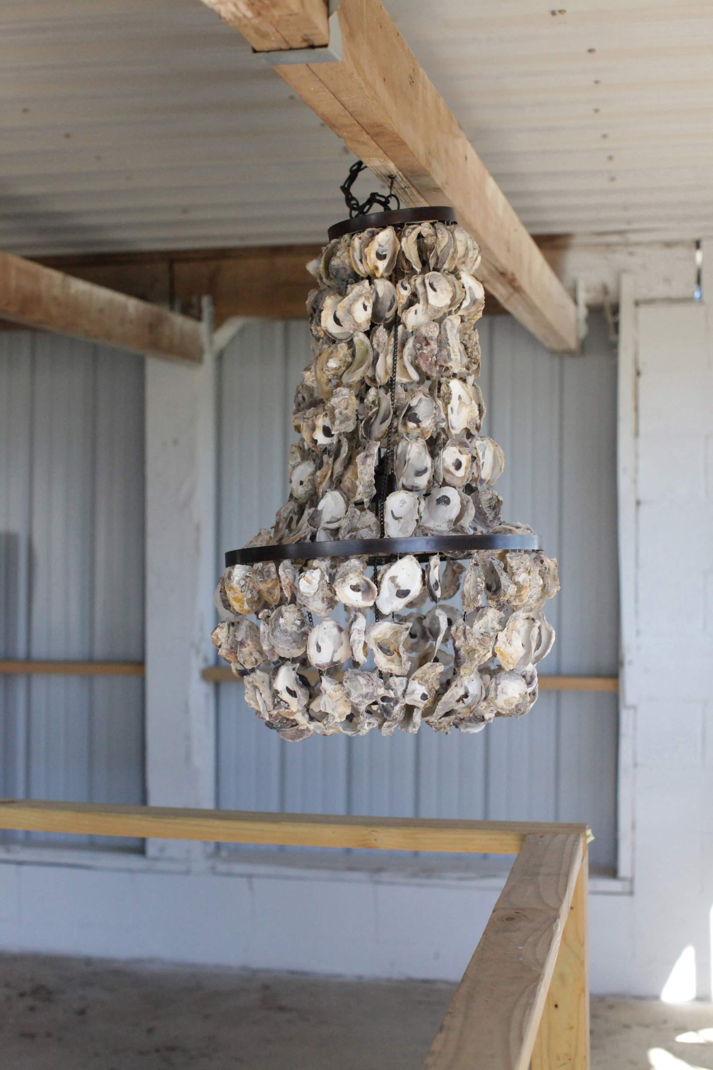29&#x22; Oyster Shell Chandelier