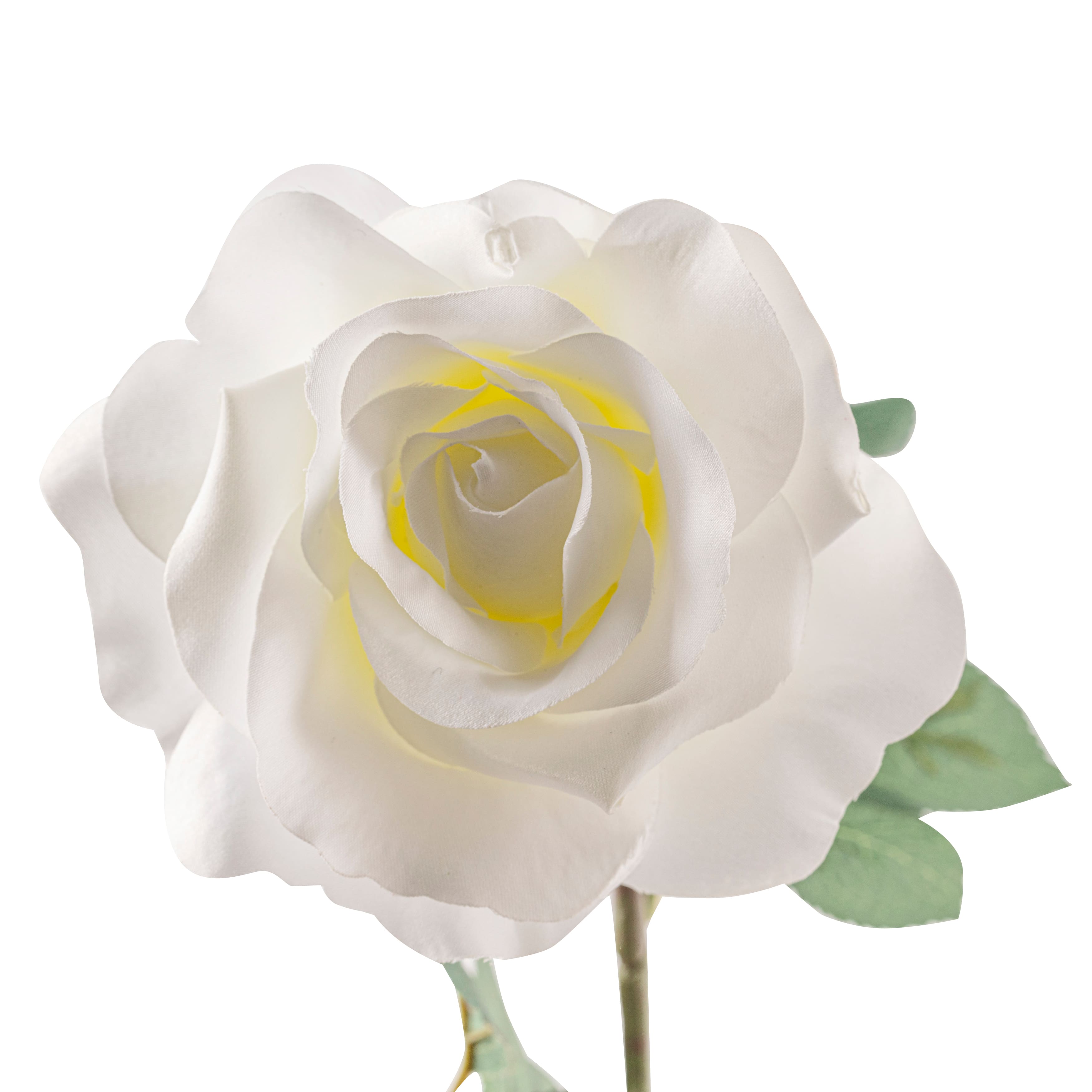 16 Pack: Ivory Princess Rose Stem by Ashland®