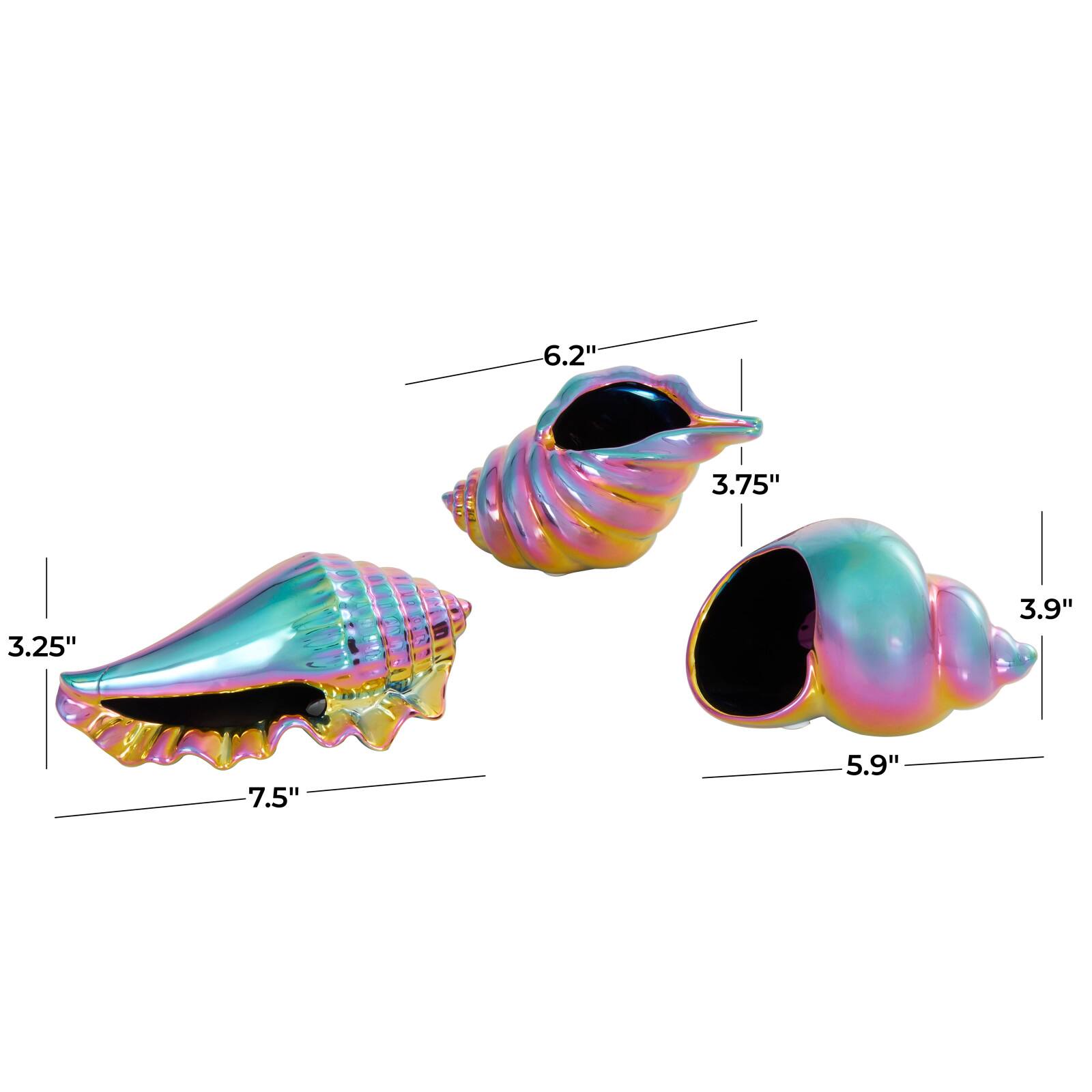 Rainbow Ceramic Shell Sculpture Set