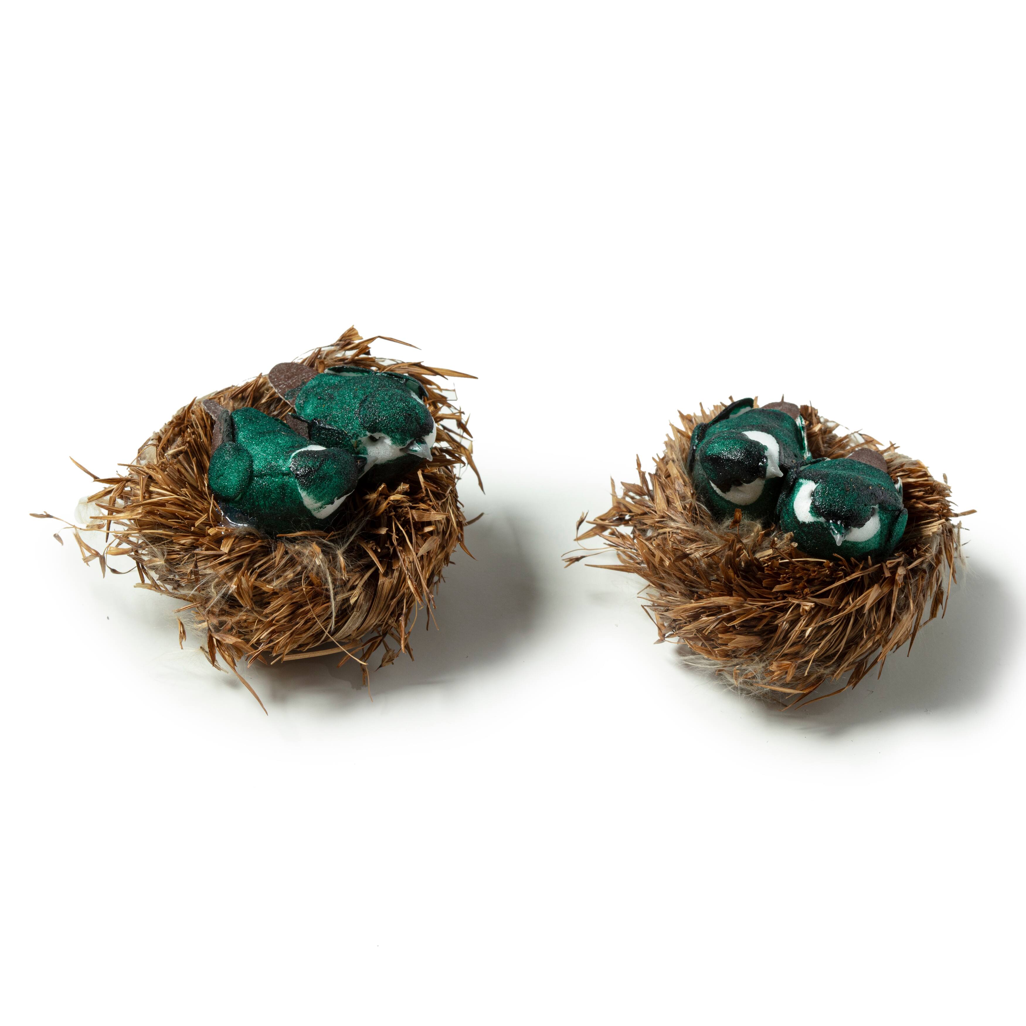 Assorted Bird in Nest by Ashland®