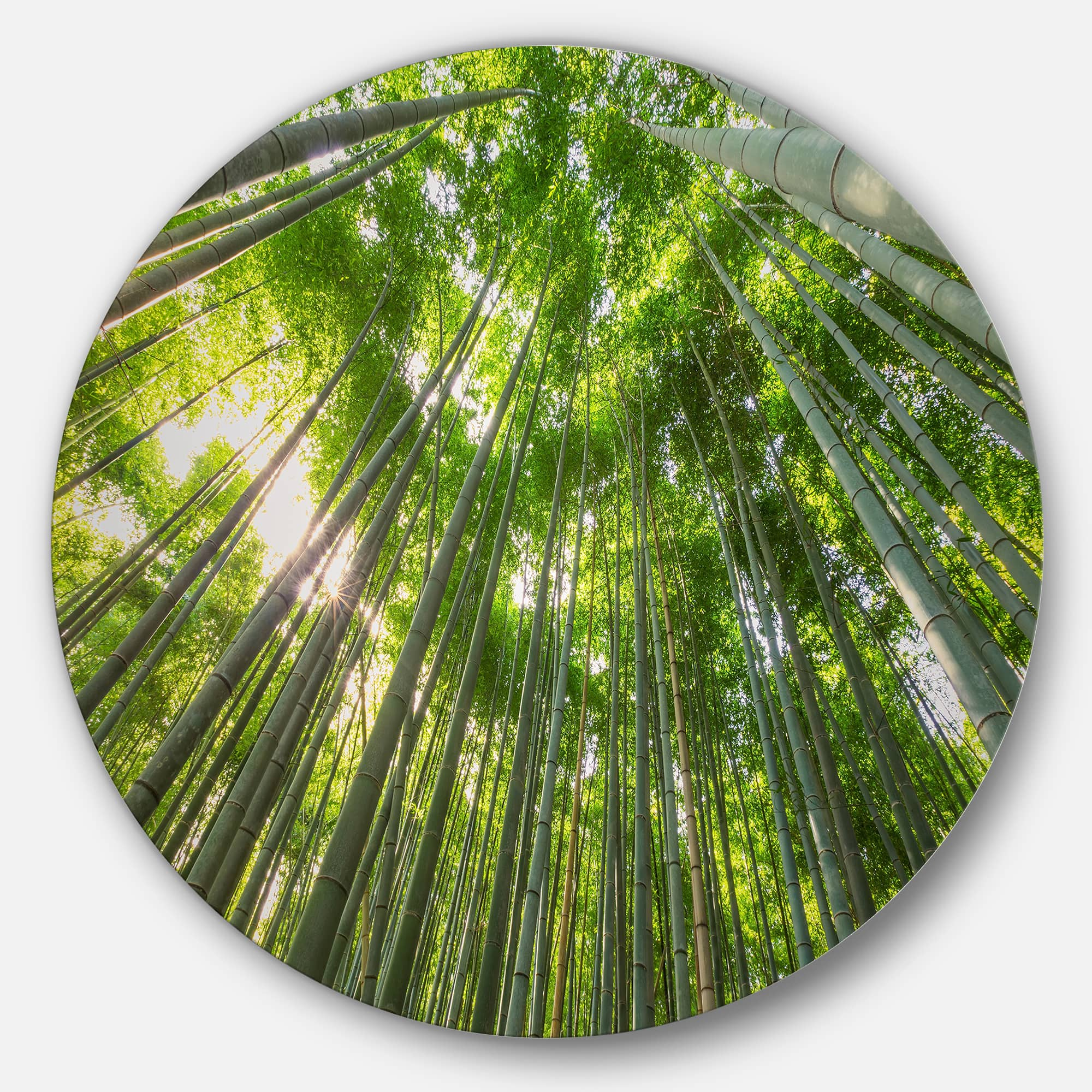 Designart - Peaks of Bamboo in Kyoto Forest&#x27; Oversized Forest Metal Artwork