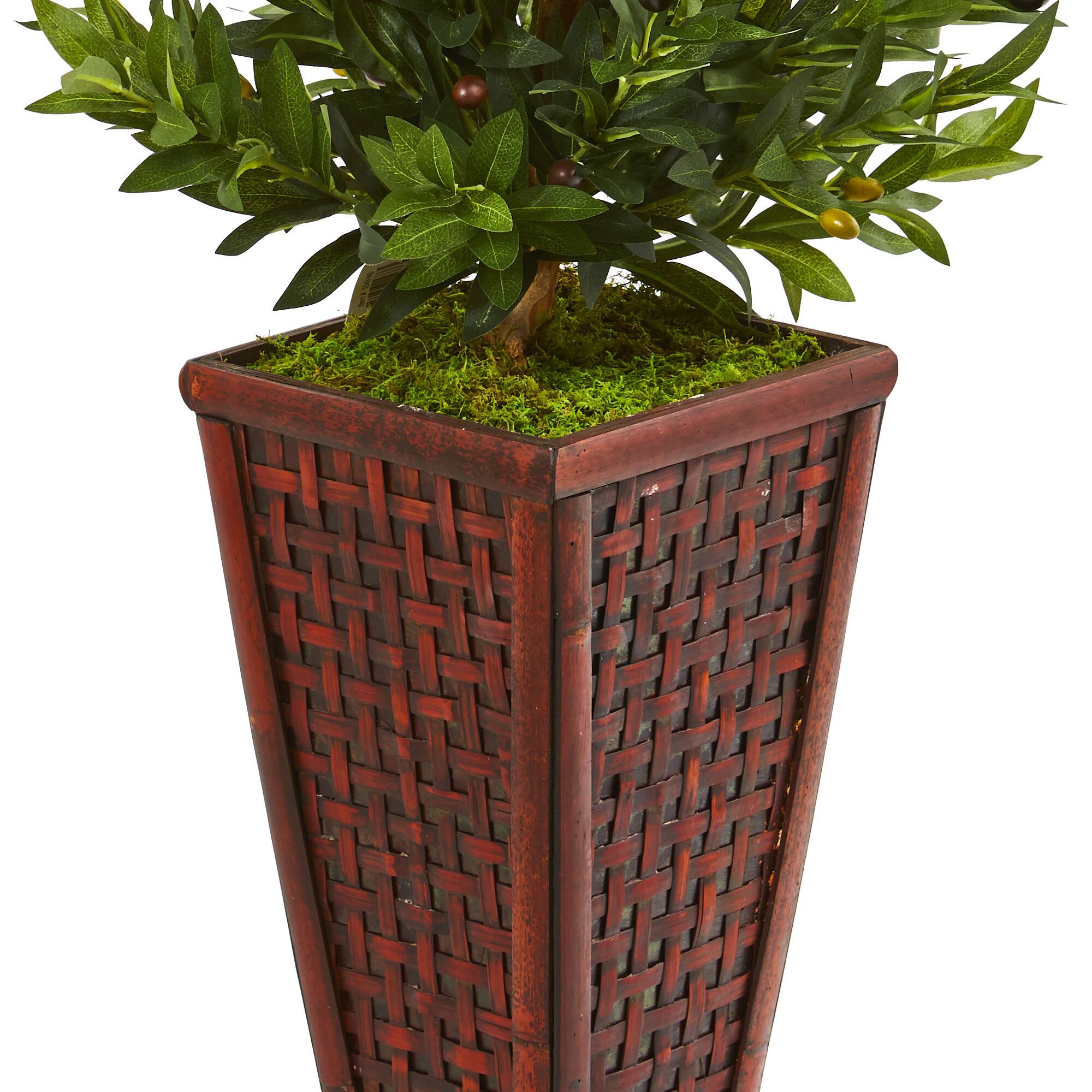 4ft. Green Olive Cone Topiary Tree in Decorative Planter