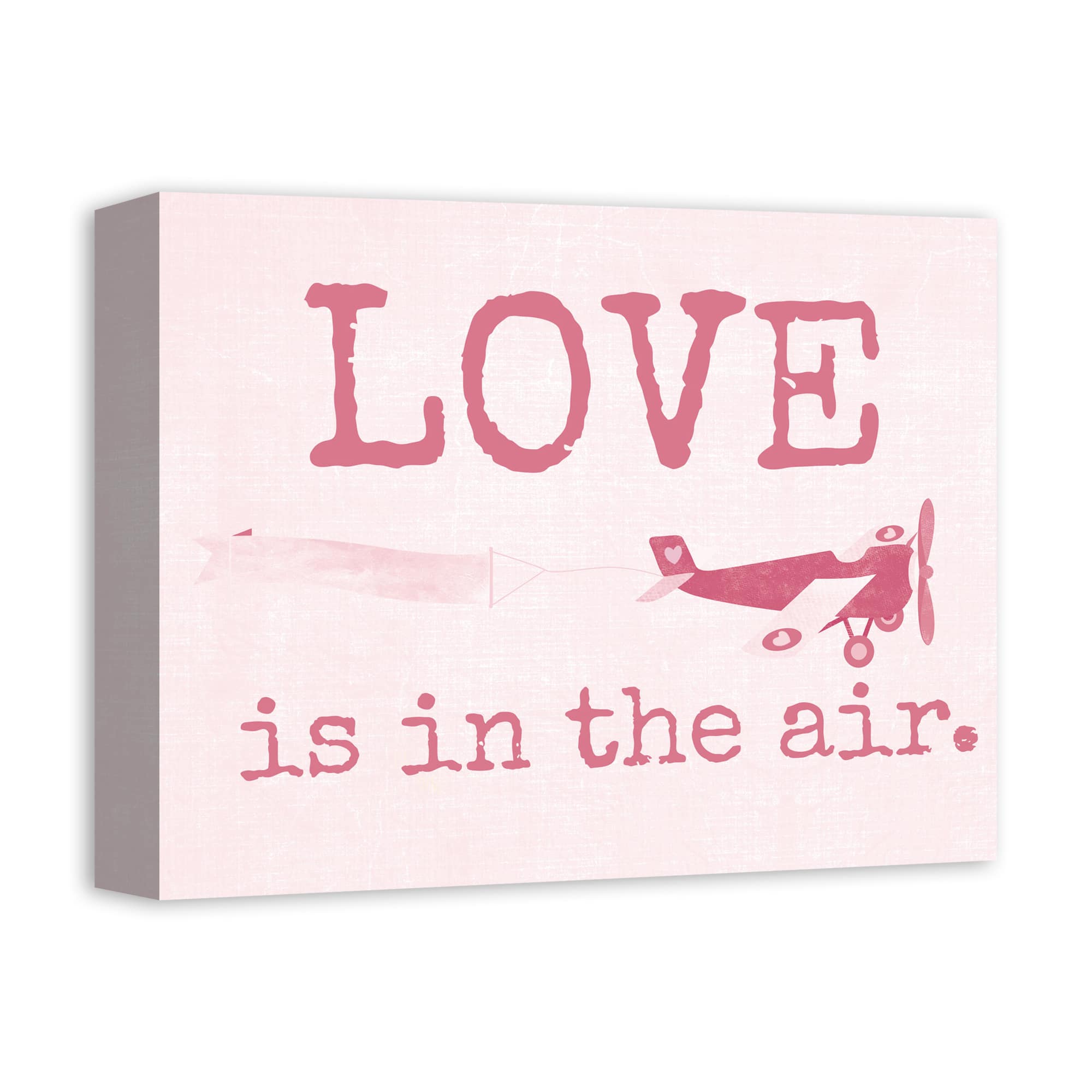 Love Is In The Air 14&#x22; x 11&#x27; Canvas Wall Art