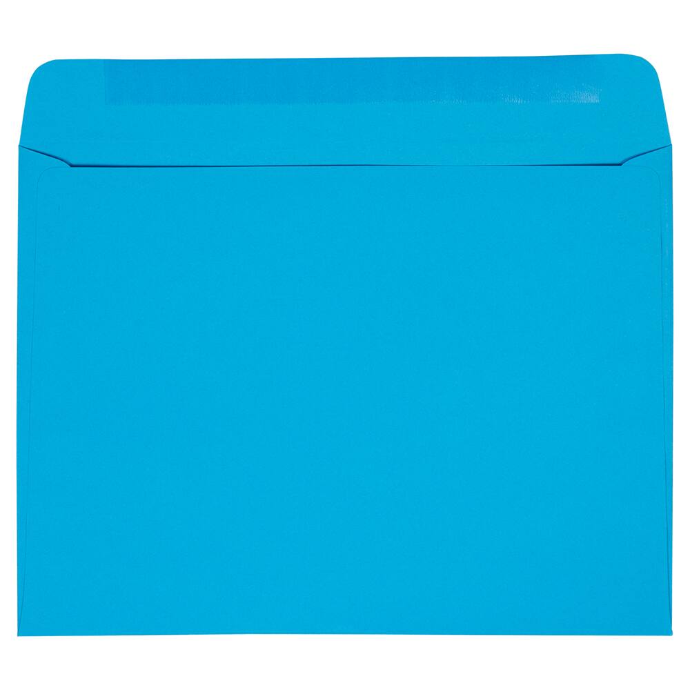 JAM Paper 9&#x22; x 12&#x22; Booklet Envelopes, 25ct.