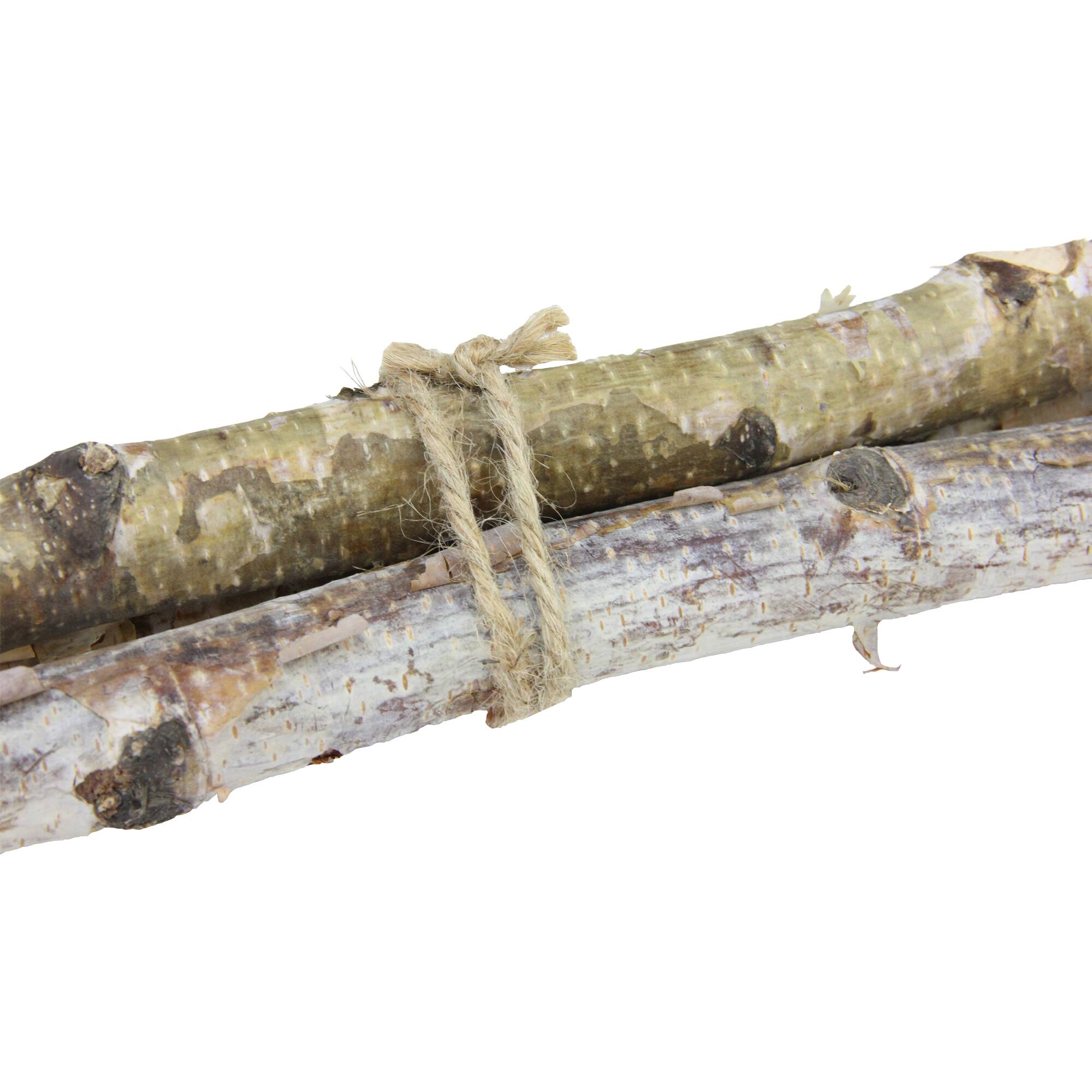 Brown Birch Wood Branch Bundle, 3ct.