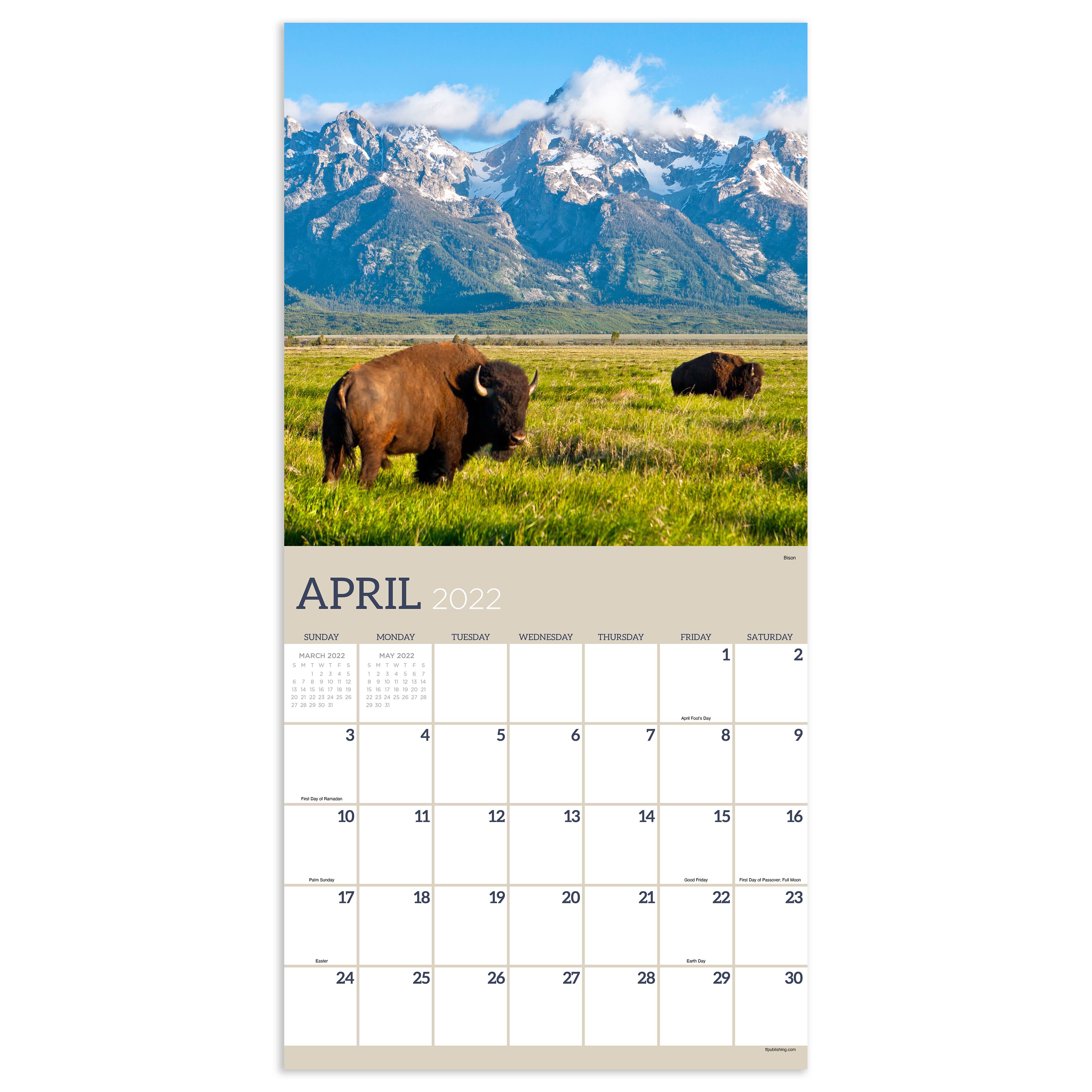 2022 Wild Wall Calendar Michaels