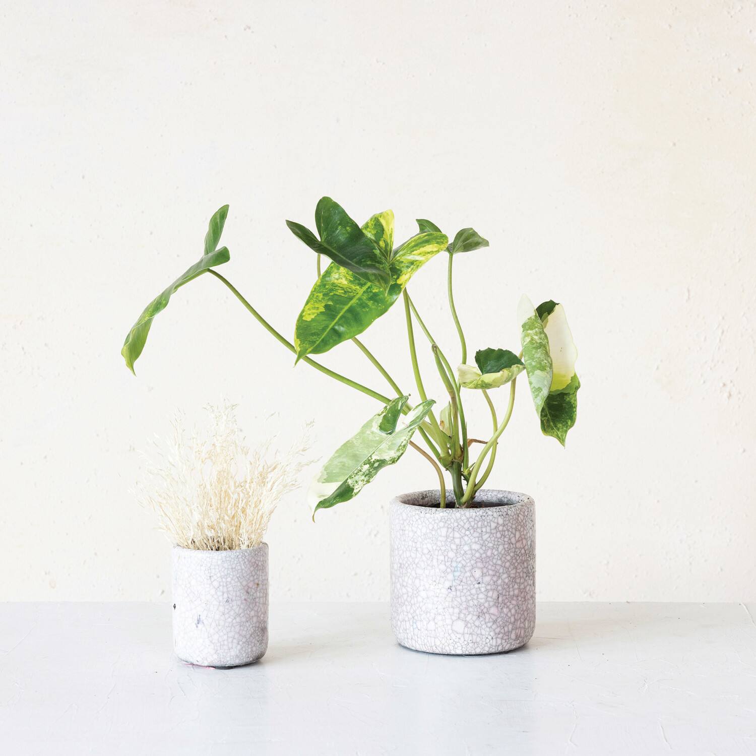 Hello Honey® 4.75" Matte Pink Crackle Glaze Decorative Terra Cotta Planter