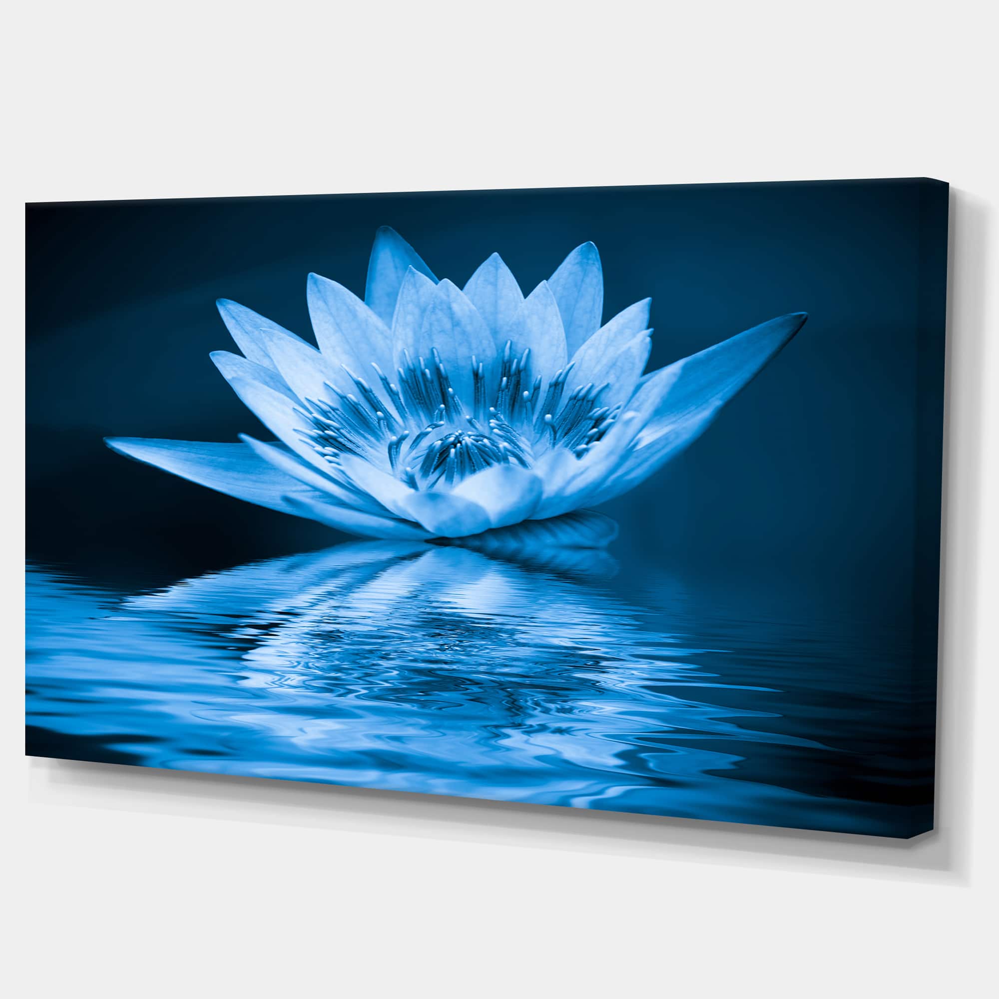 Designart - Blue Water Lily - Floral Art Canvas Print