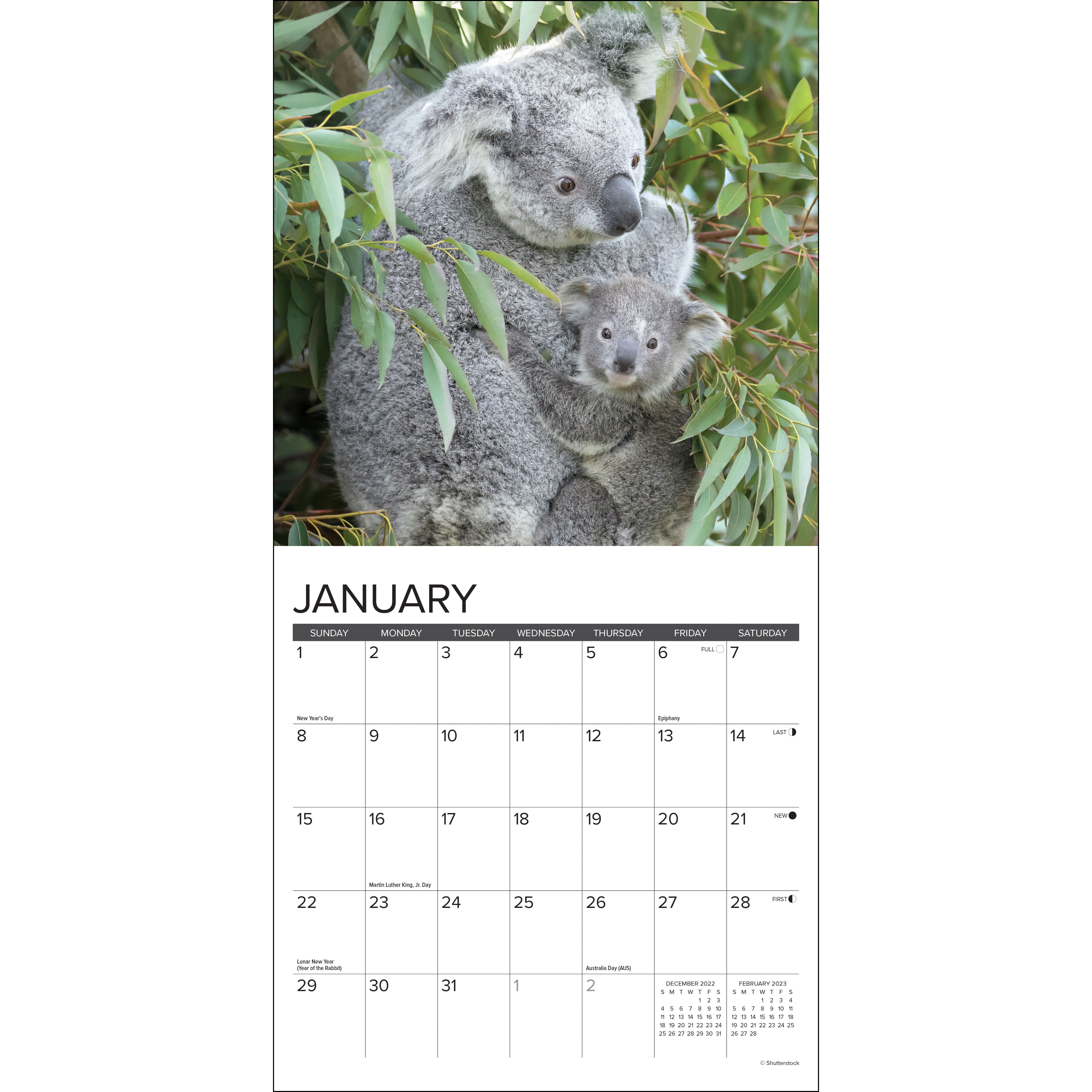 2023 Koala Bears Mini Wall Calendar Wall Calendars Michaels
