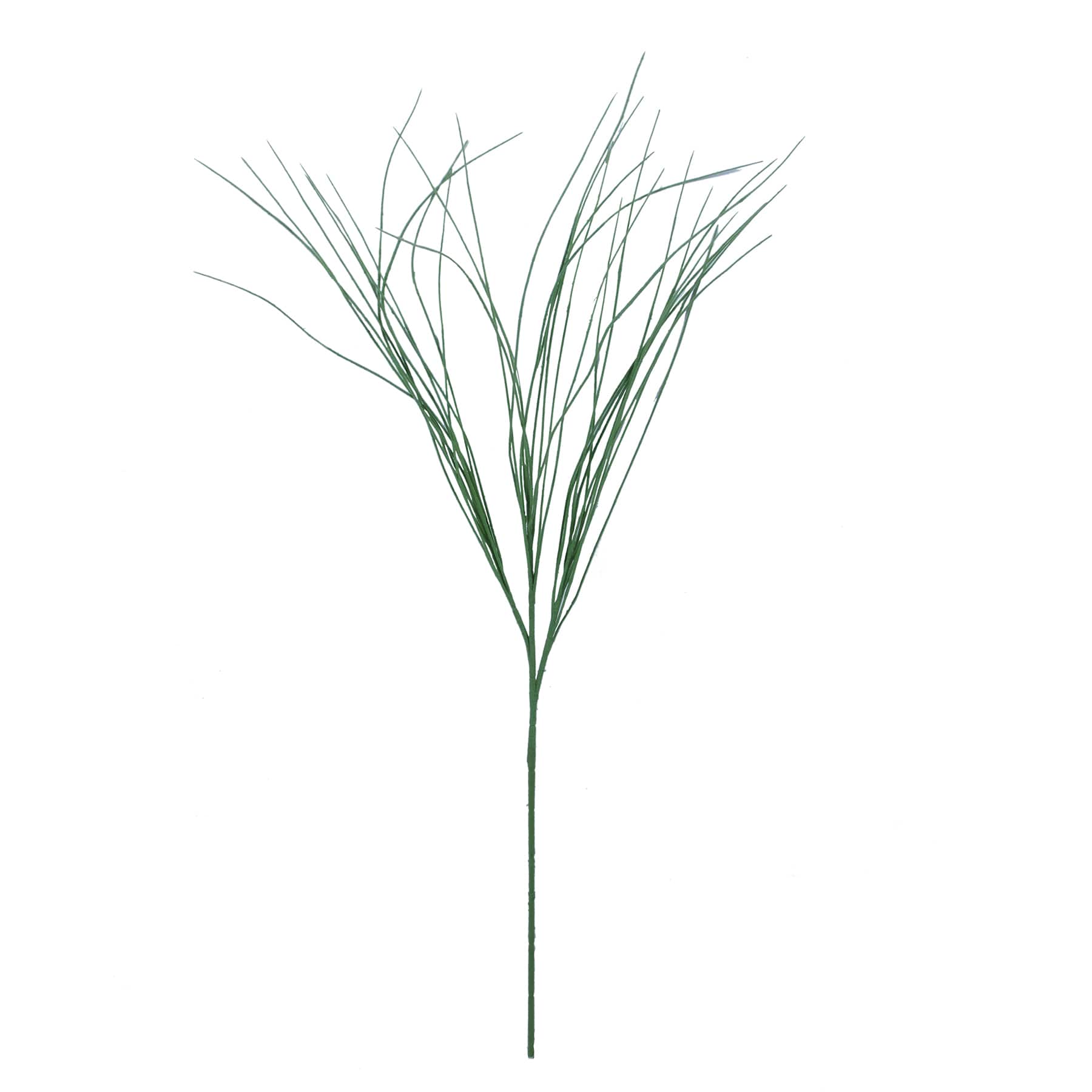 Assortiment de branches de brindilles d’Ashland