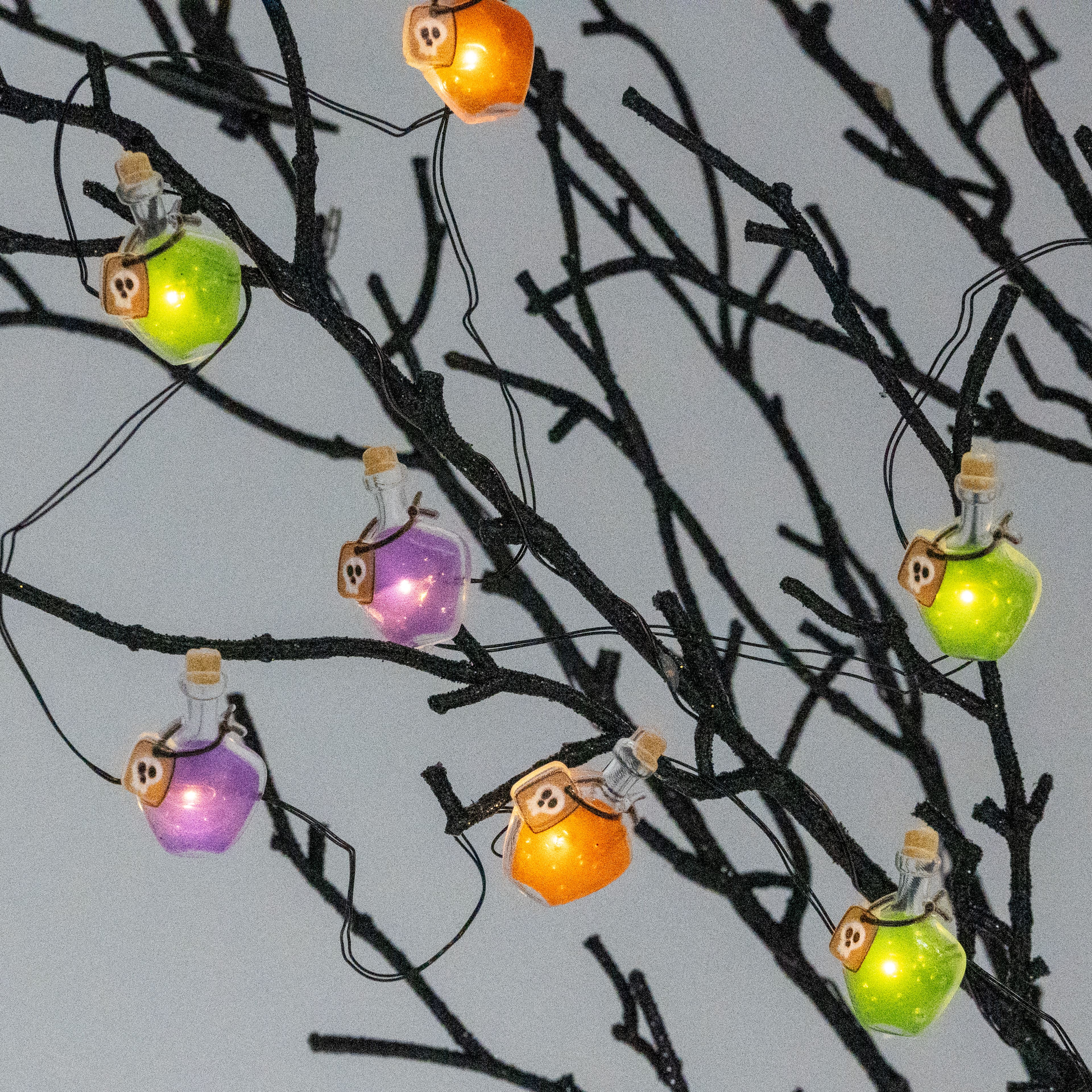 18ct. Poison Flasks Icon LED String Lights by Ashland®