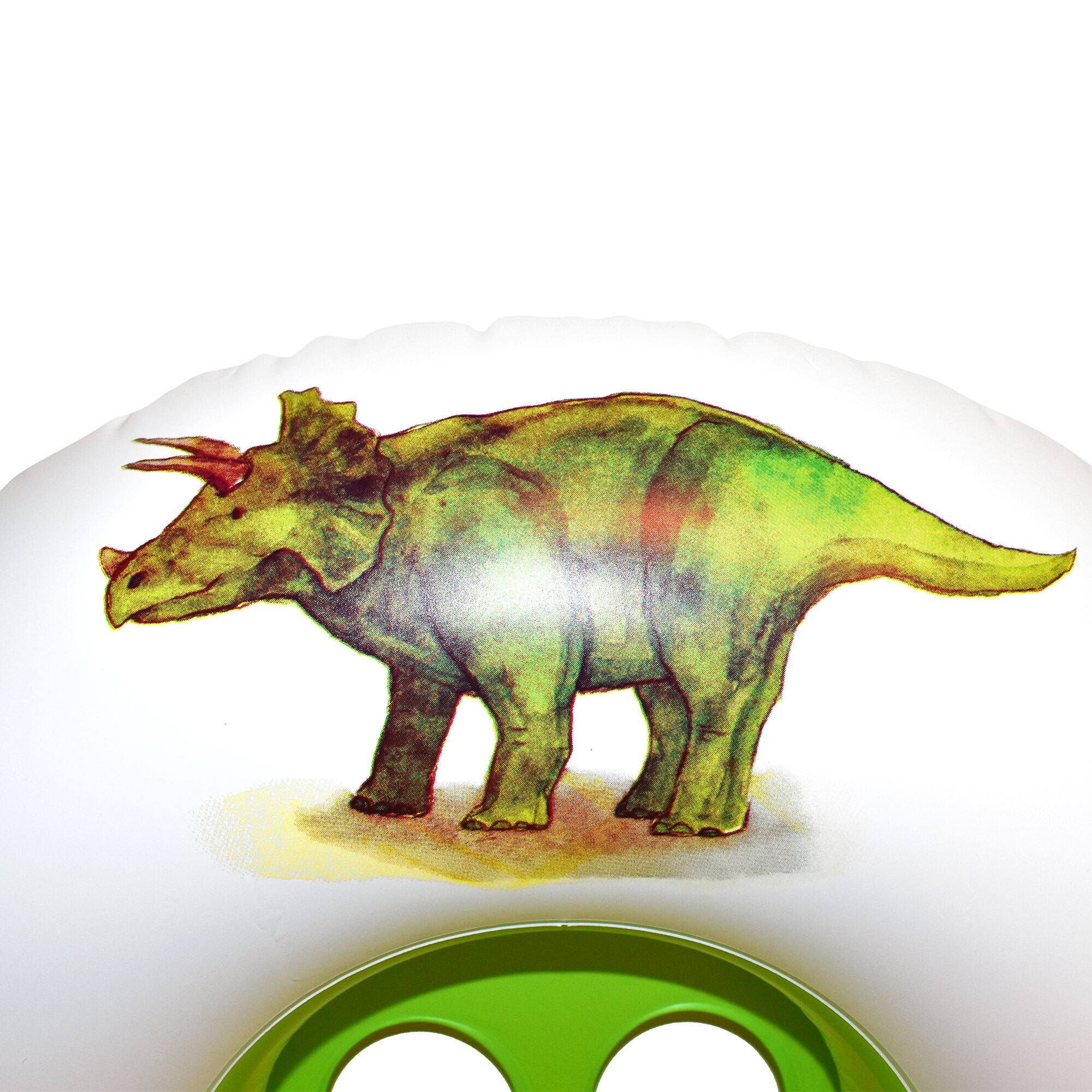 Rae Dunn Rawrsome Toddler Float with Canopy