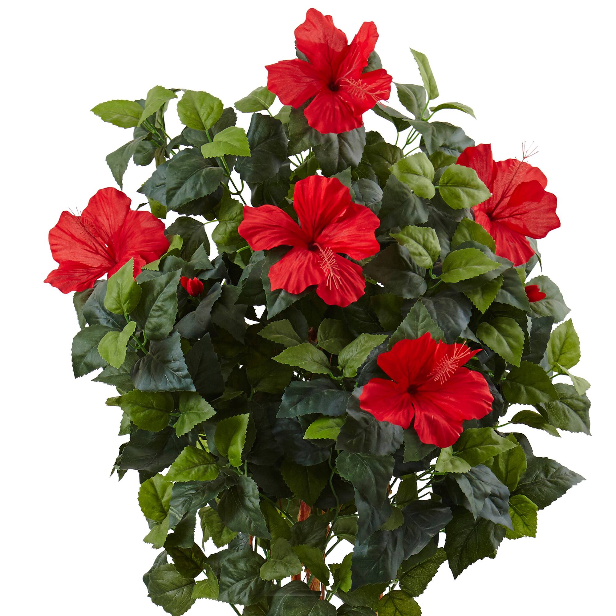 5ft. Red Hibiscus Tree in Decorative Wooden Planter