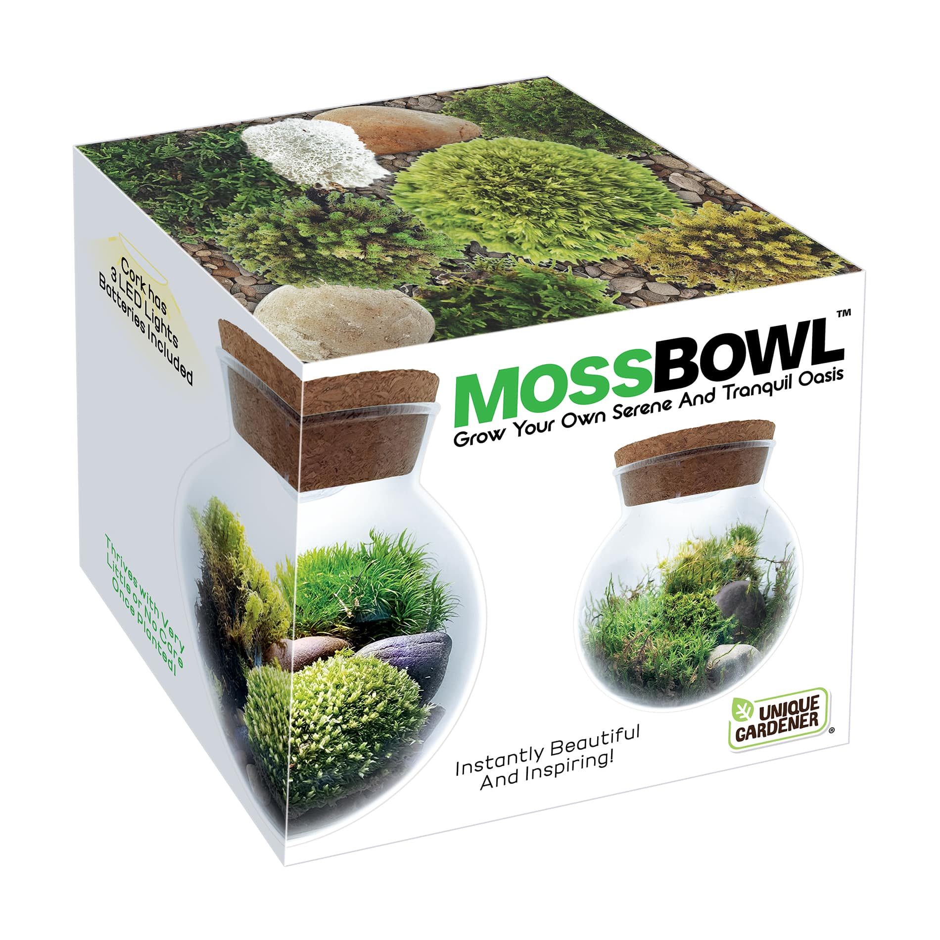MossBowl - Grown Your Own Serene and Tranquil Oasis