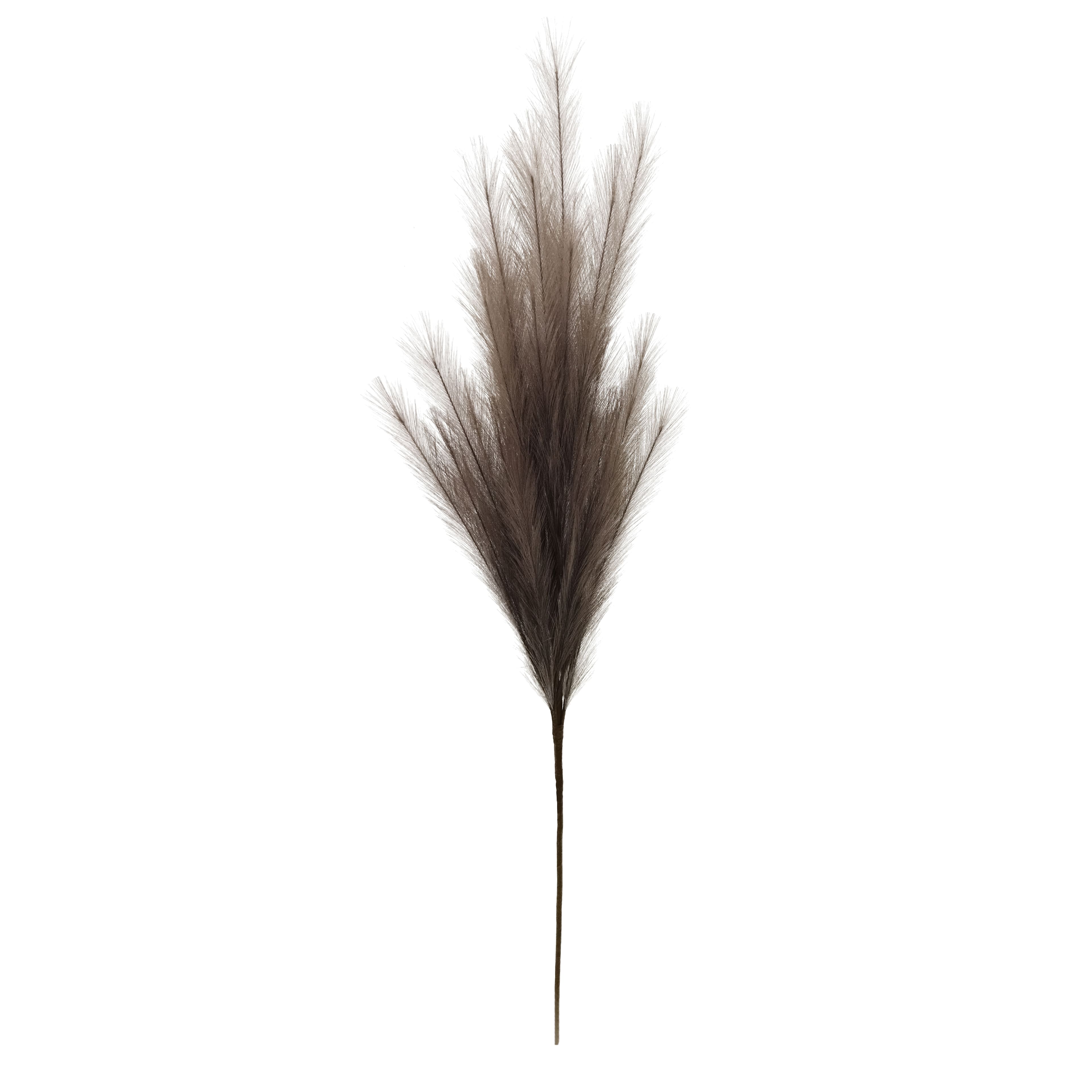42" Light Brown Pampas Grass Stem by Ashland®
